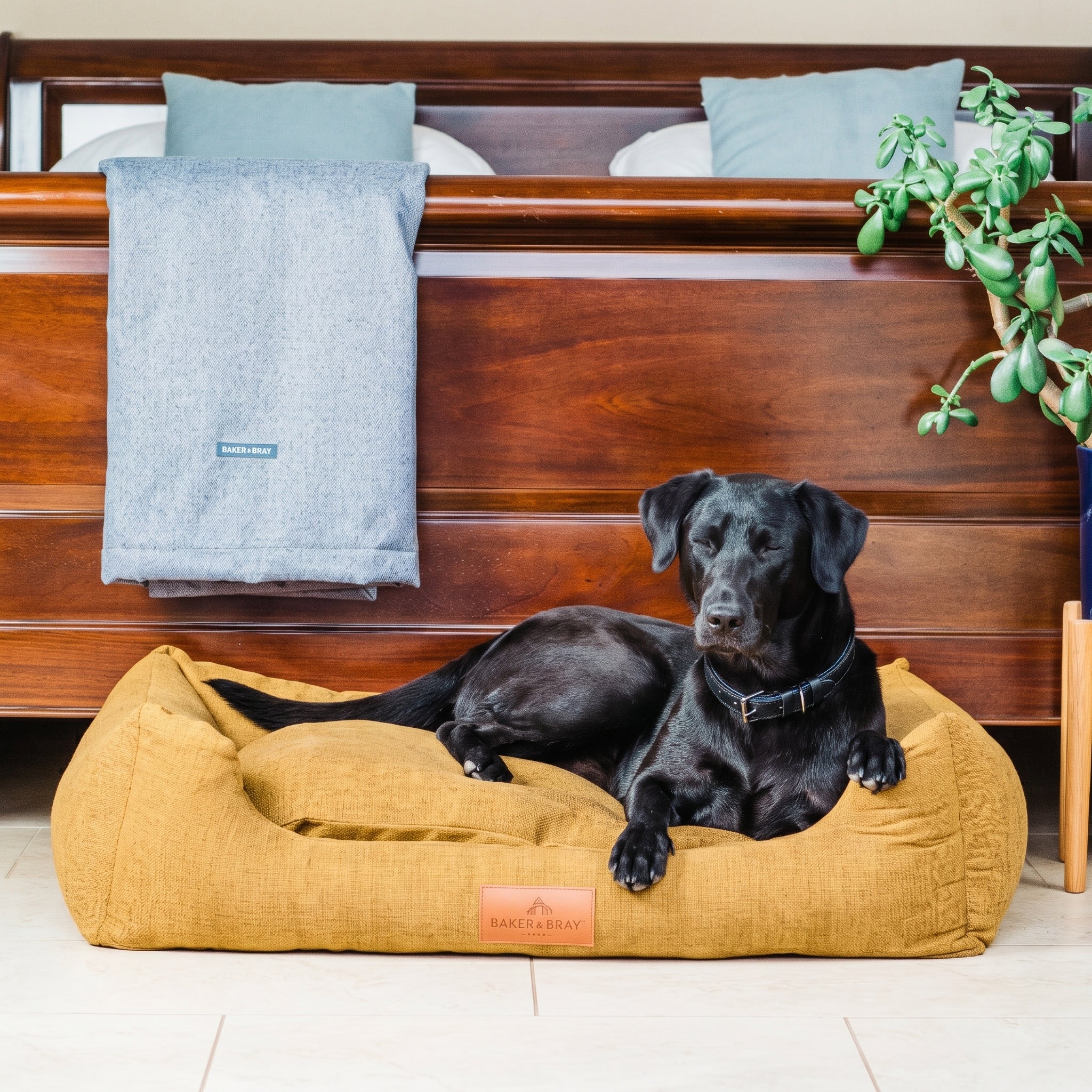 The Ultimate - Eco Friendly Orthopaedic Luxury Dog Bed, Mustard Yellow