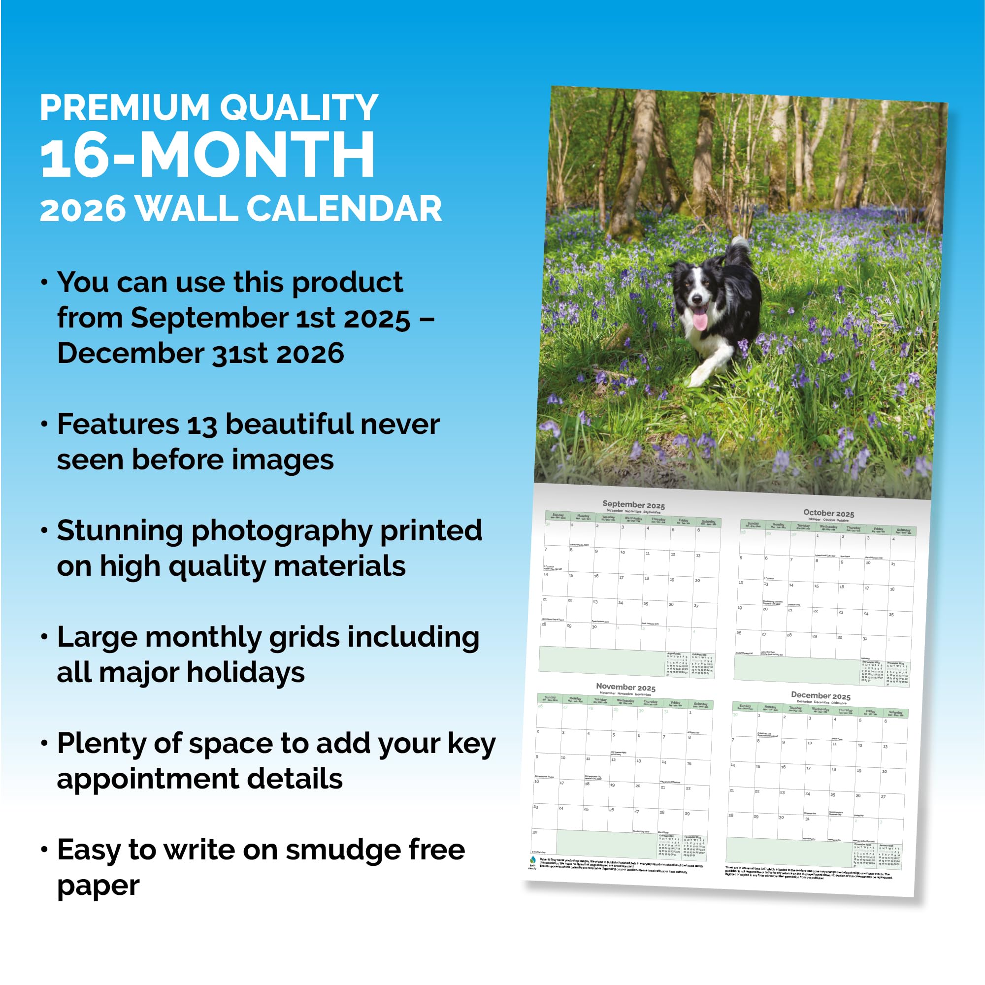 Border Collie Calendar 2026