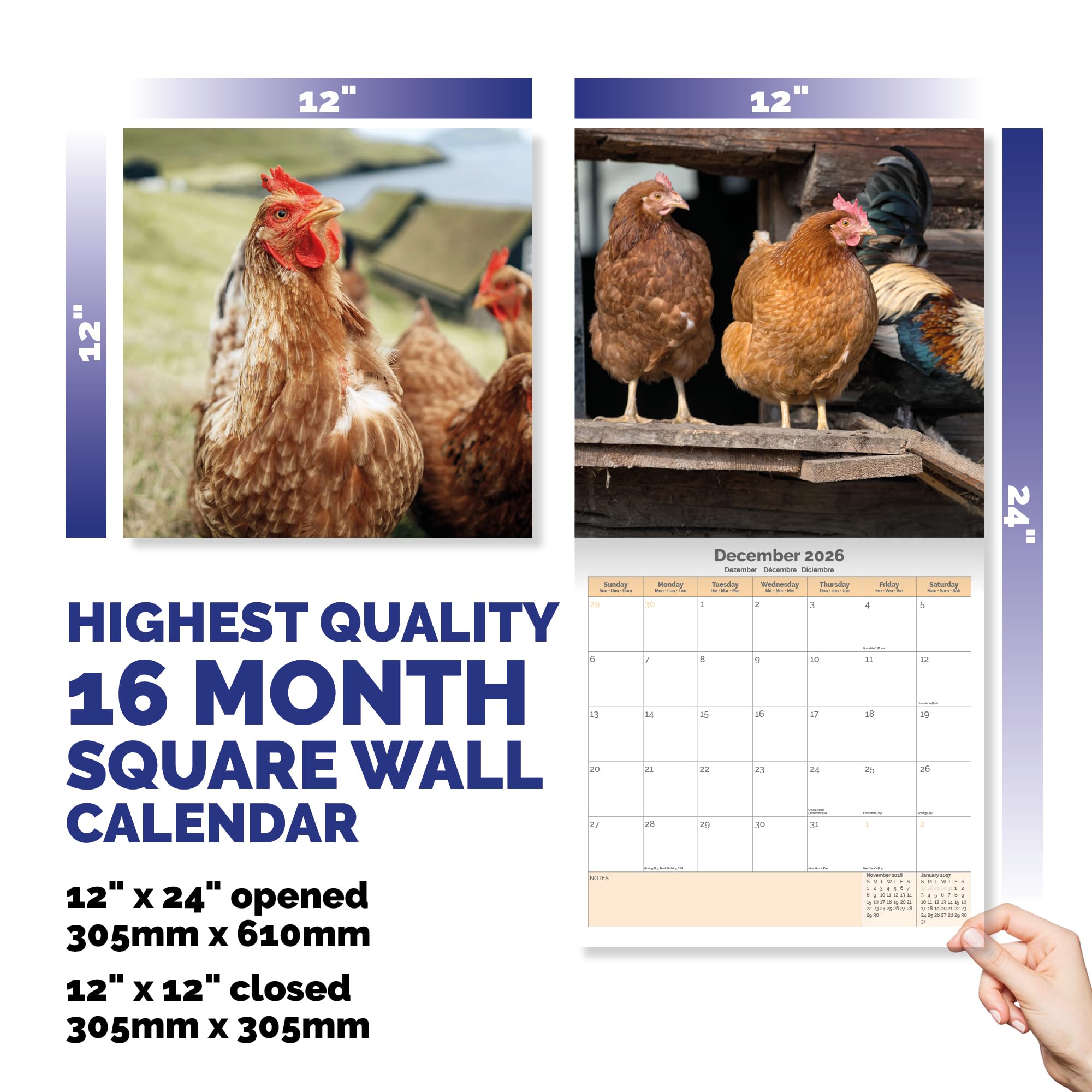 Chickens Calendar 2026