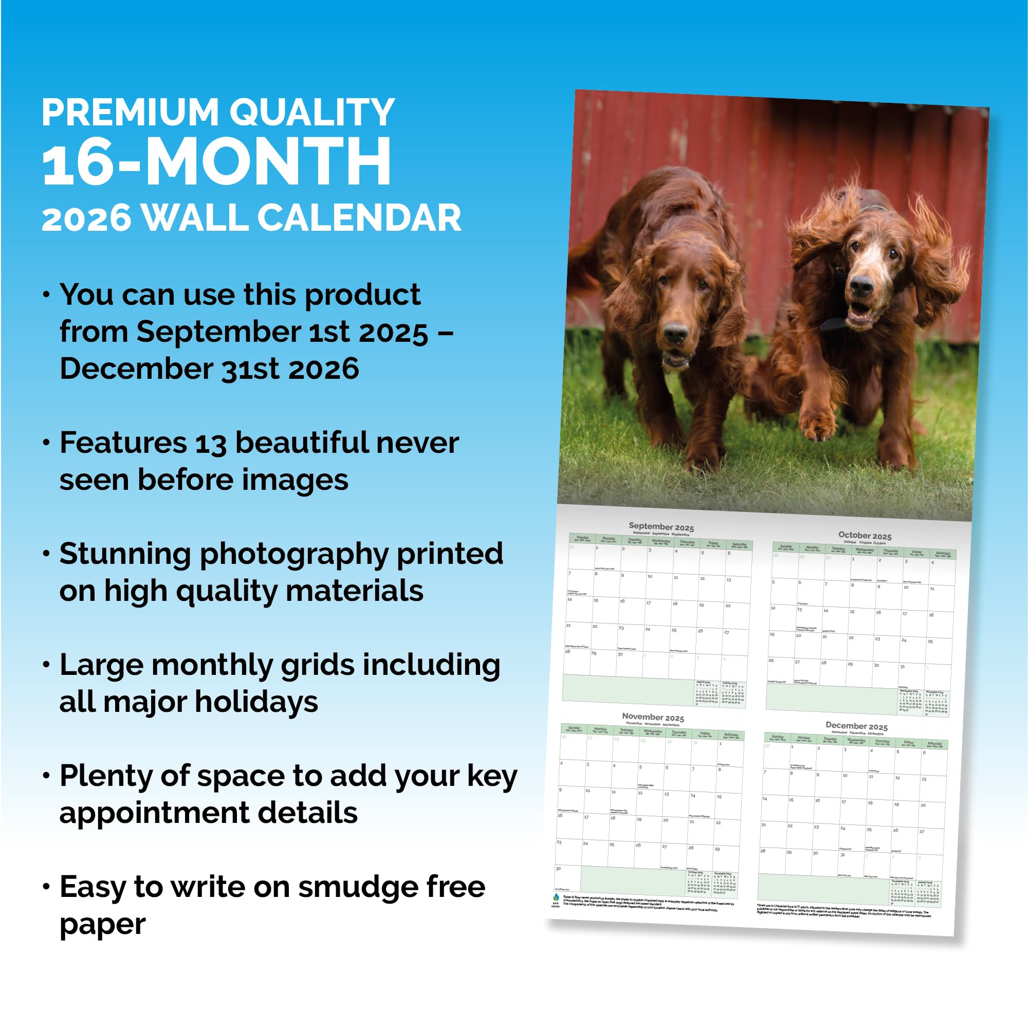 Irish Setter Calendar 2026