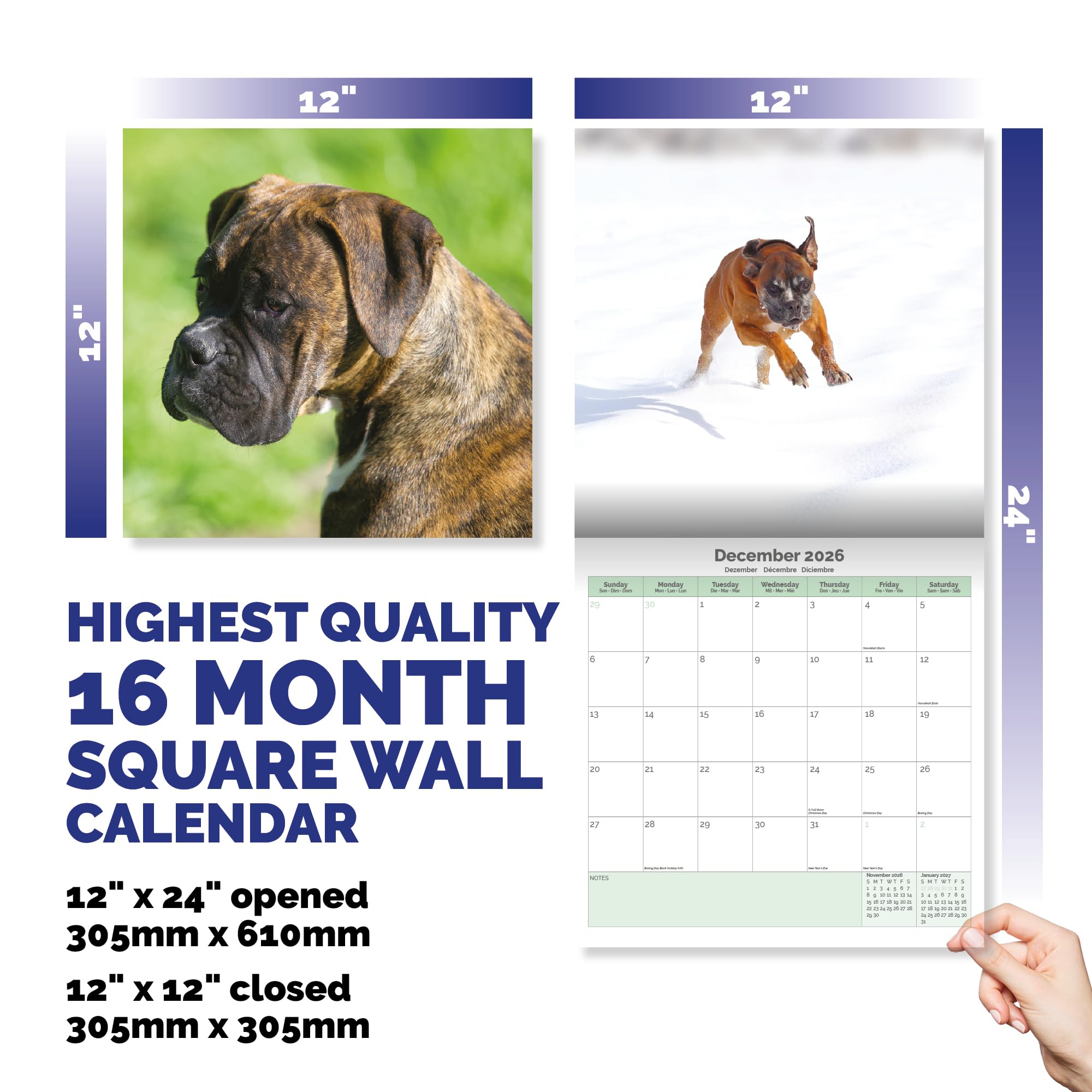 Boxer Dog Calendar 2026