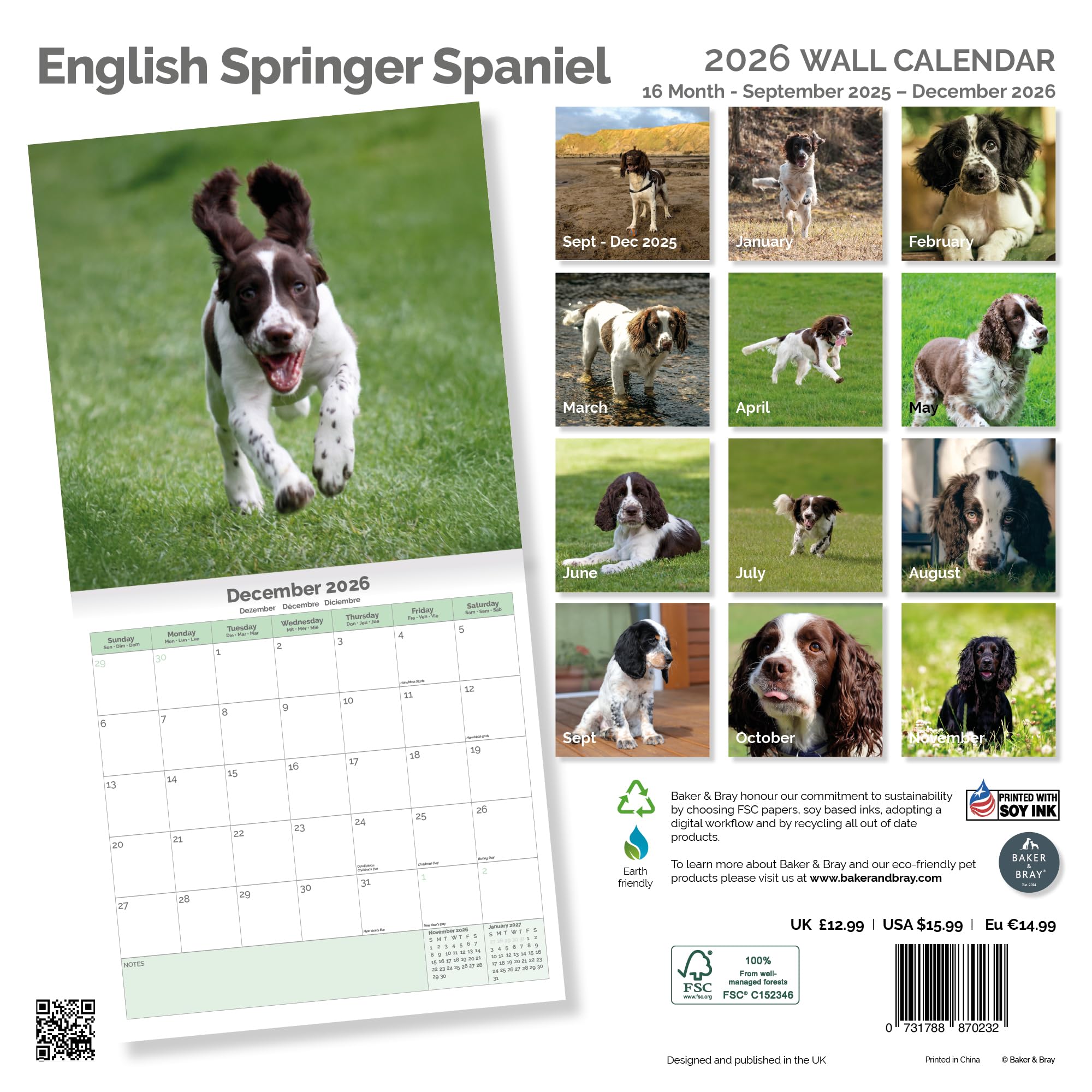 English Springer Spaniel Calendar 2026
