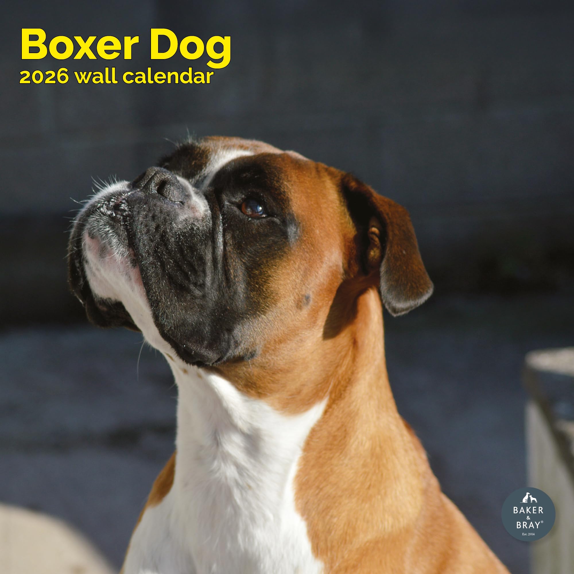 Boxer Dog Calendar 2026