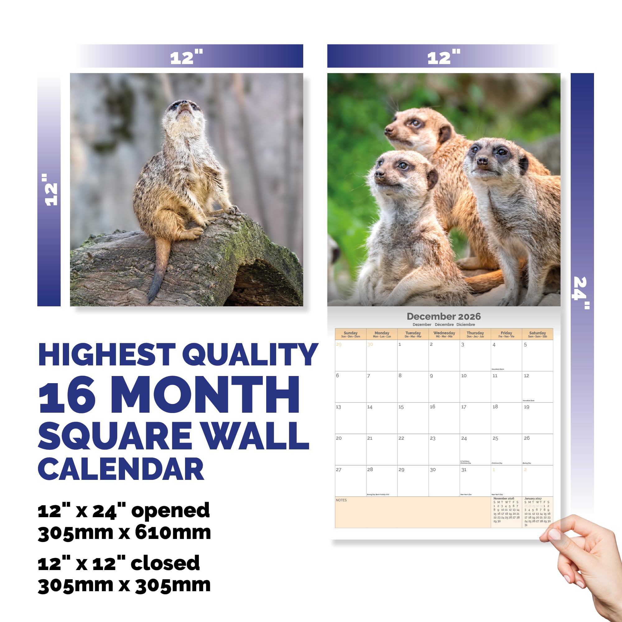 Meerkats Calendar 2026