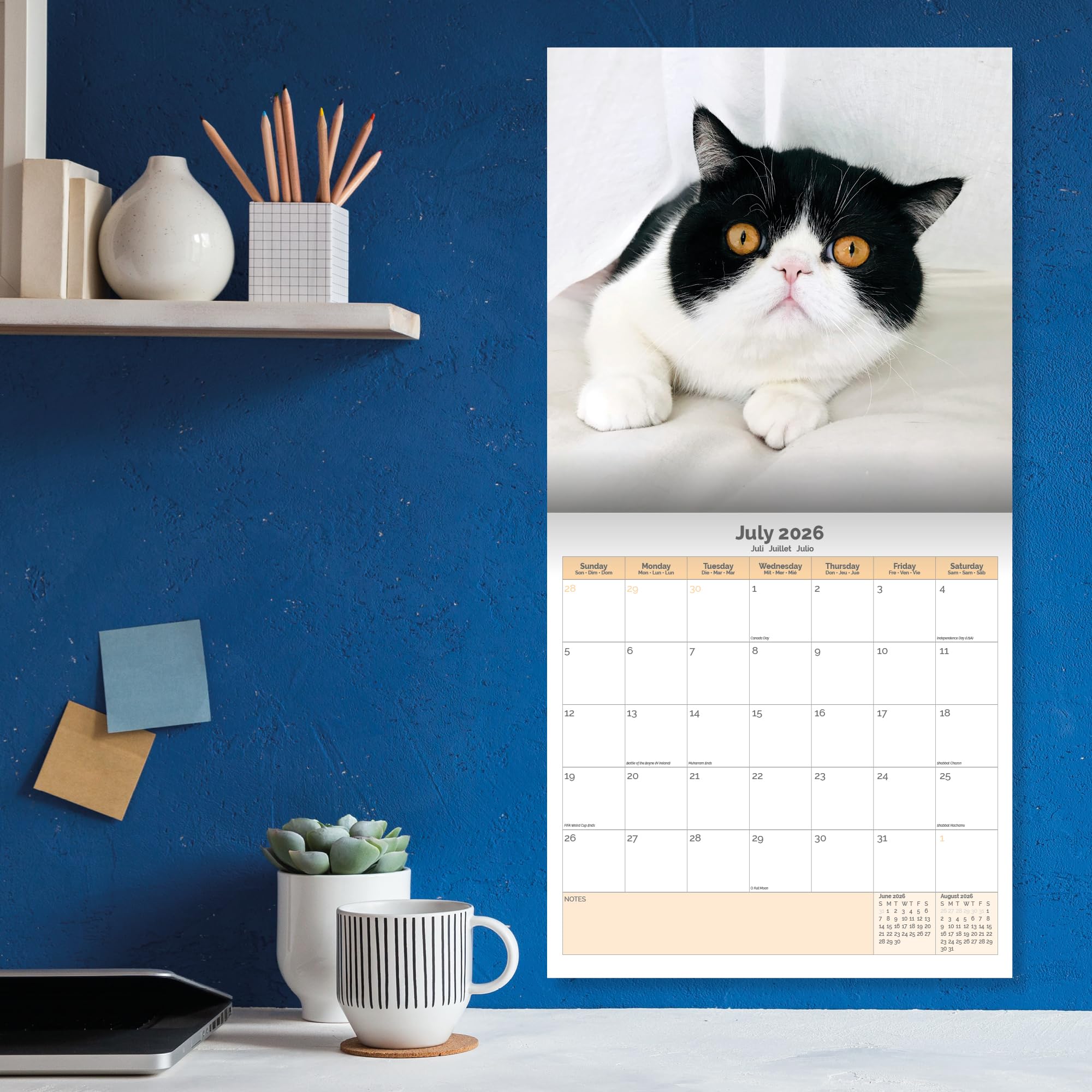 Grumpy Cats Calendar 2026