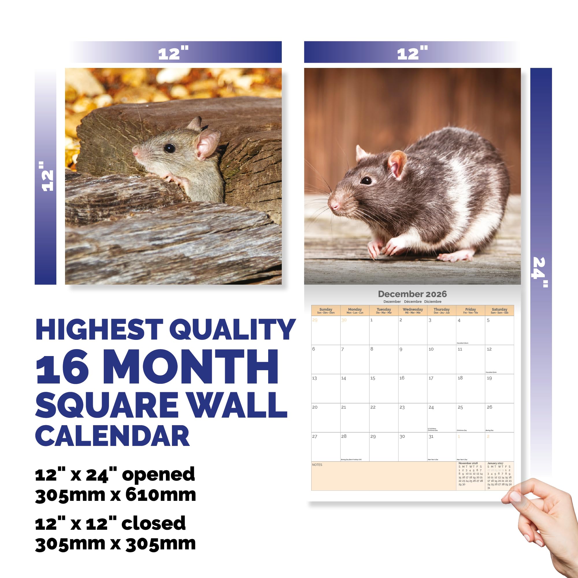 Rats Calendar 2026