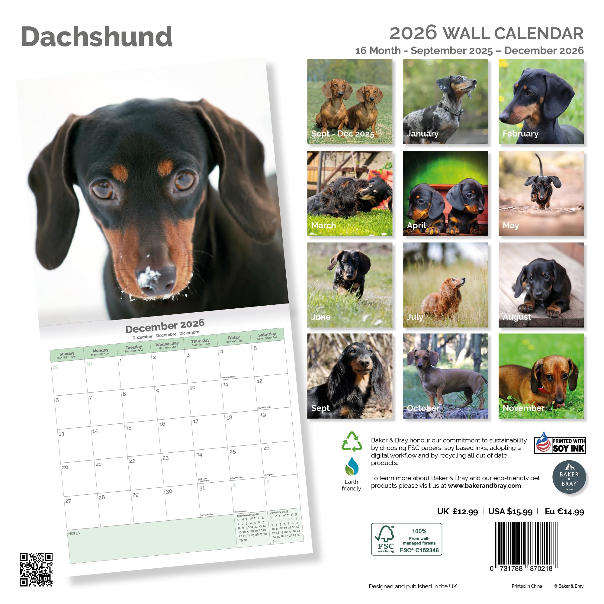 Dachshund Calendar 2026