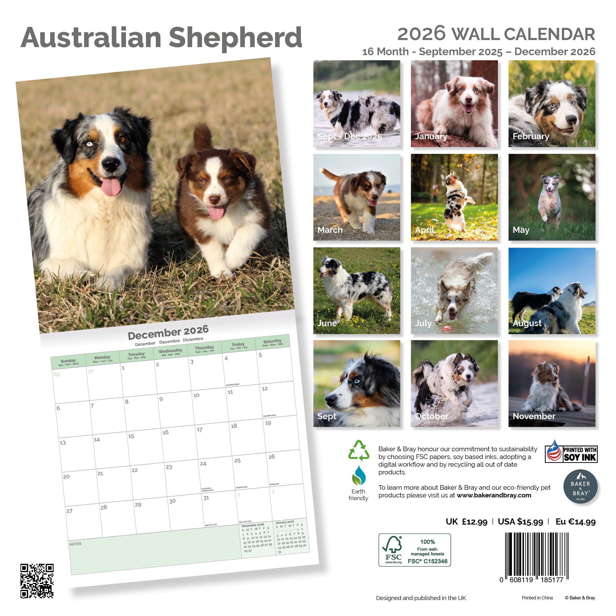 Australian Shepherd Calendar 2026