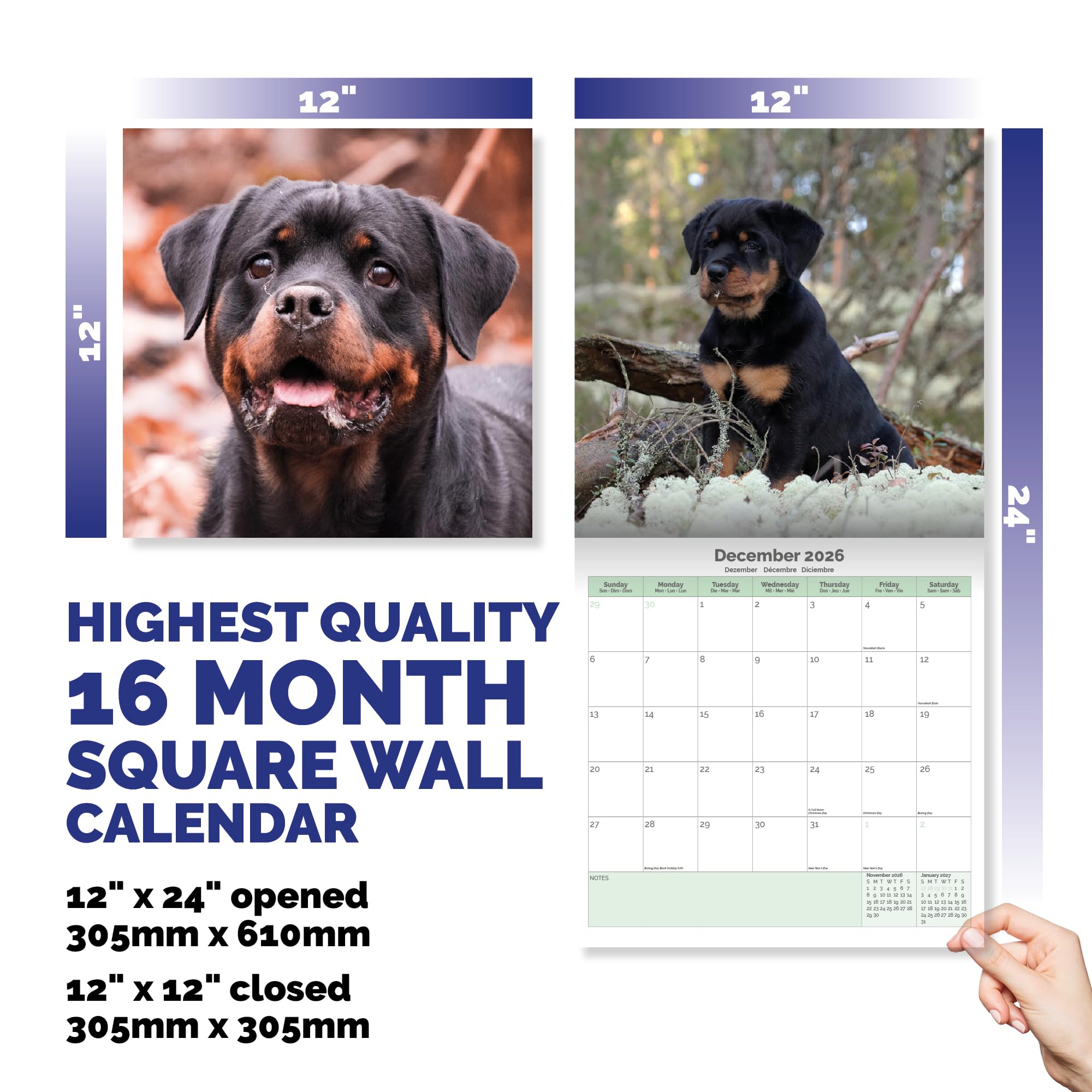 Rottweiler Calendar 2026
