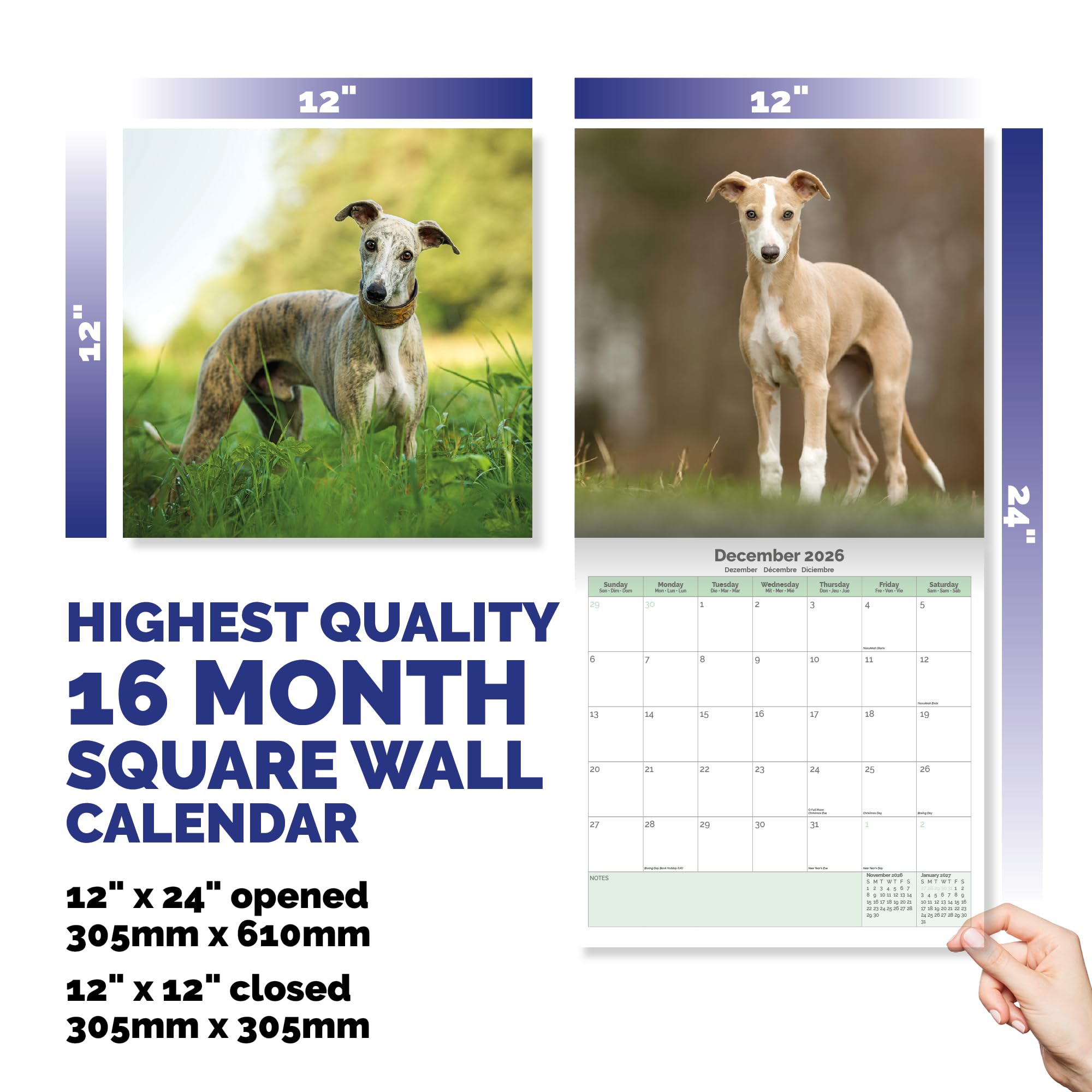 Whippet Calendar 2026