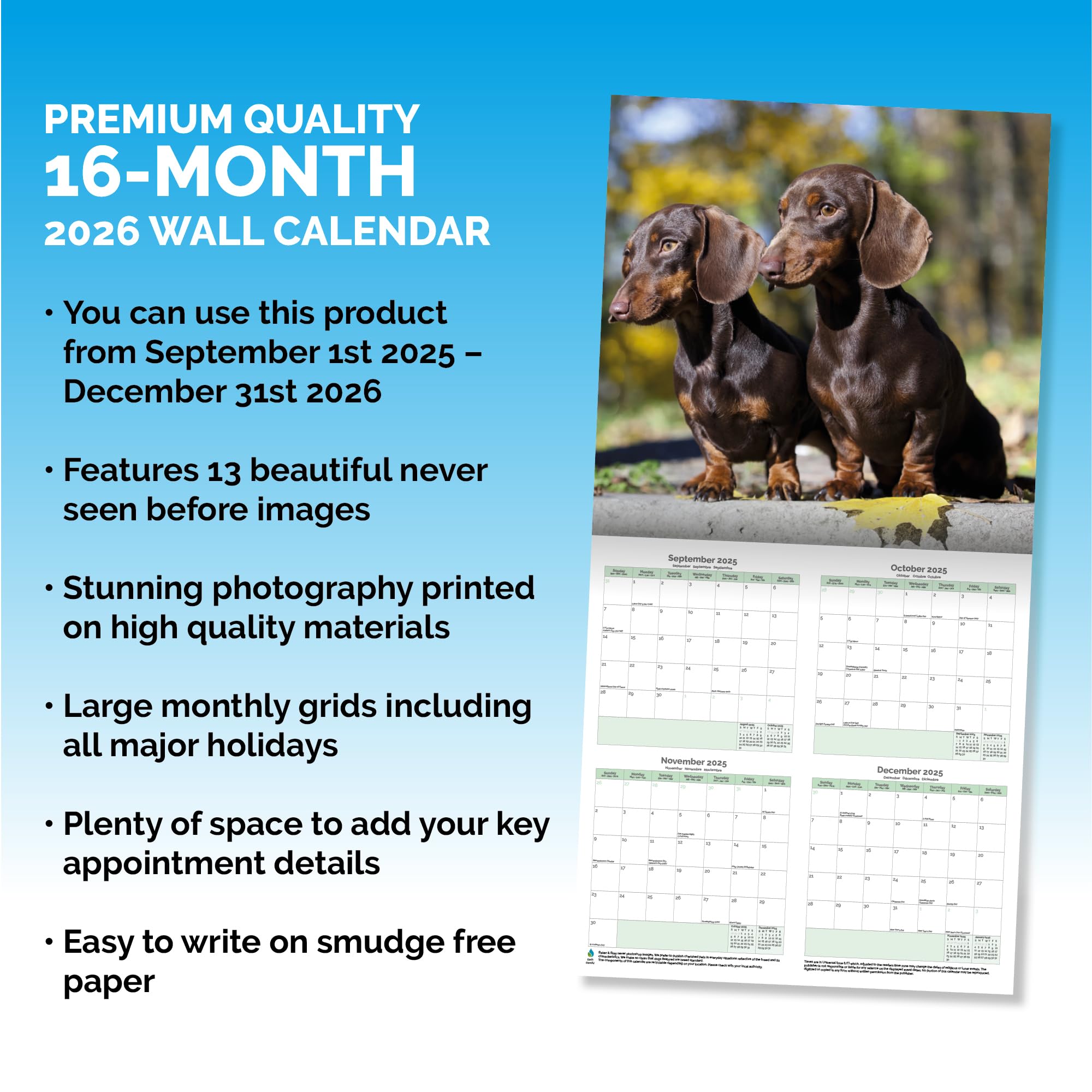 Dachshund Puppies Calendar 2026