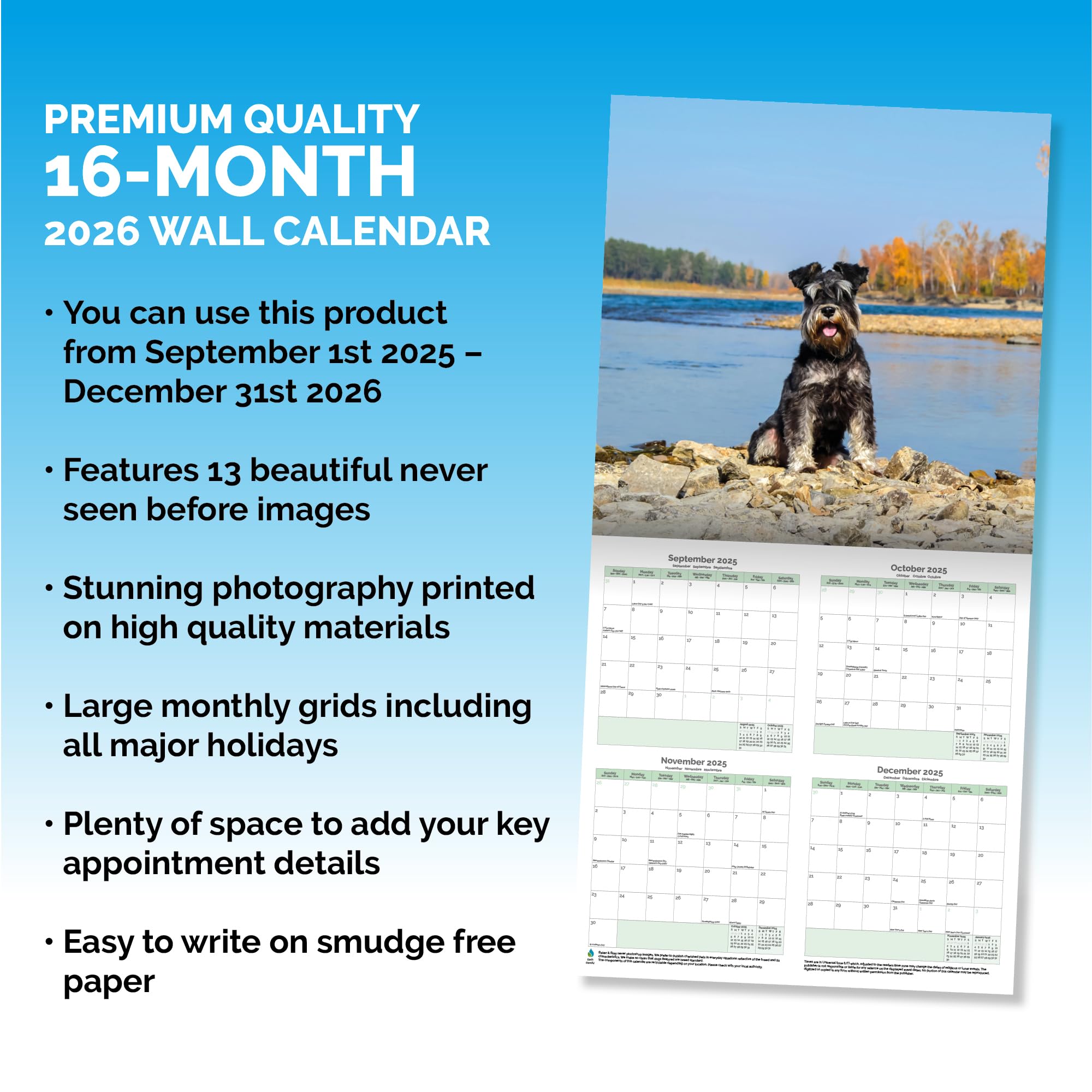 Miniature Schnauzer Calendar 2026