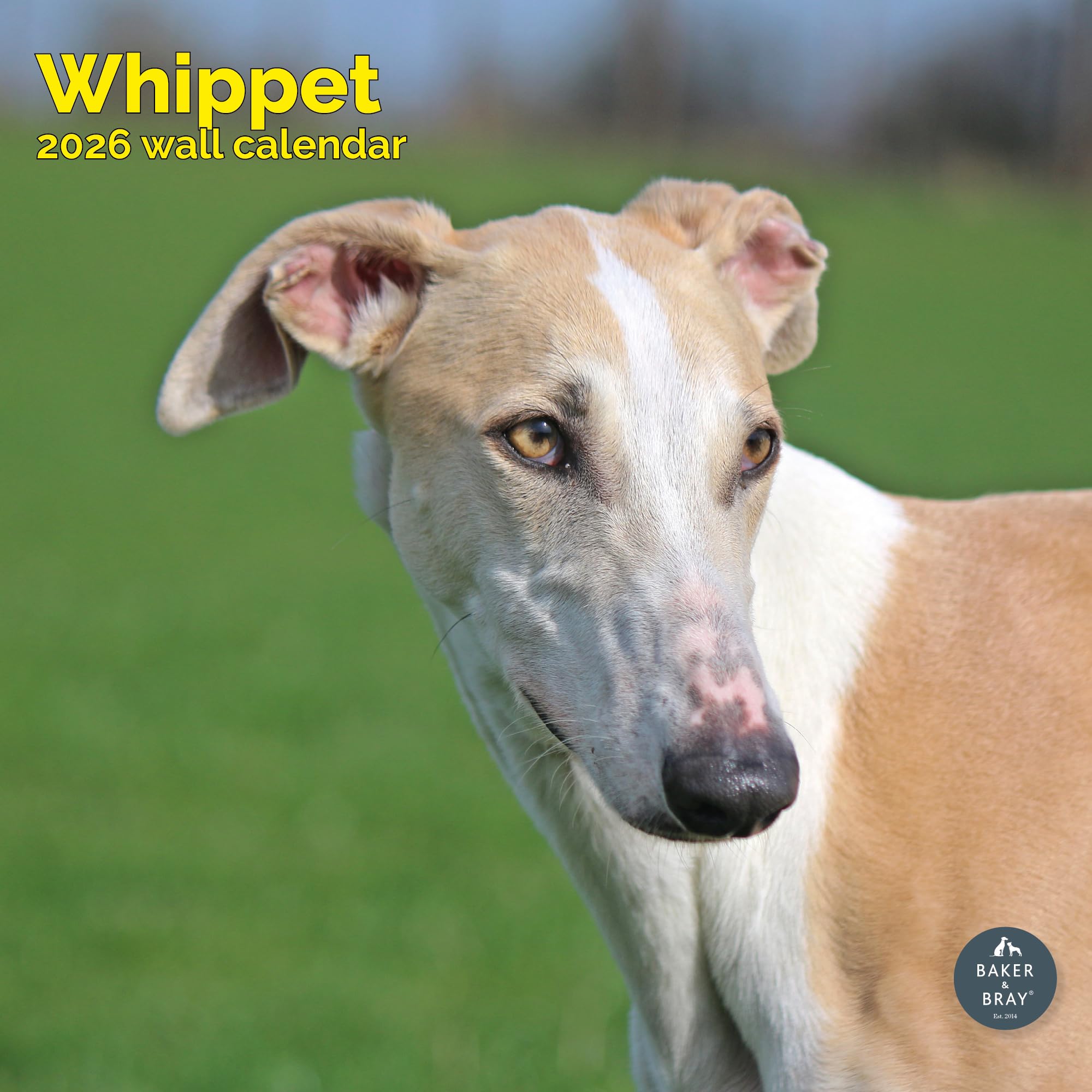 Whippet Calendar 2026