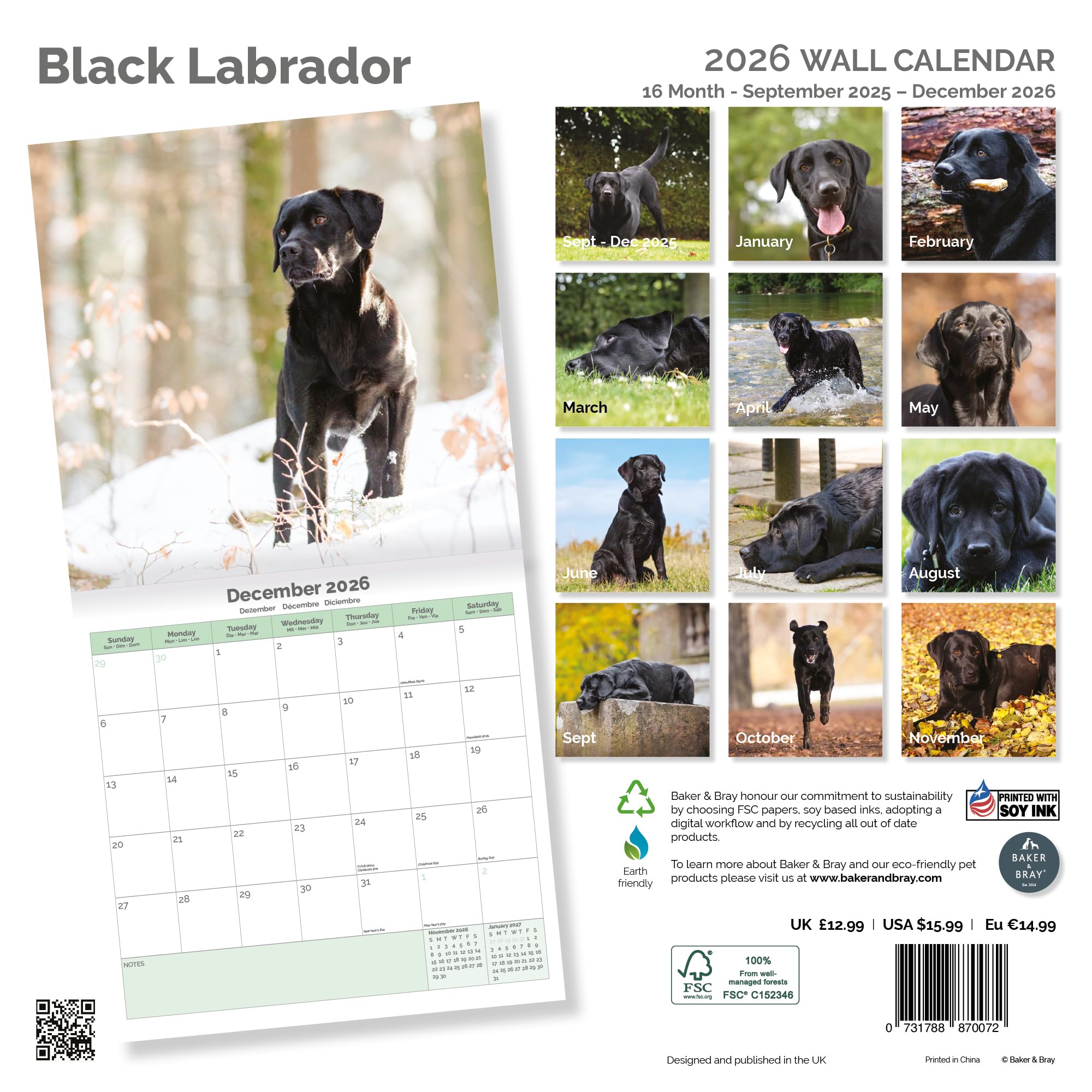 Black Labrador Calendar 2026
