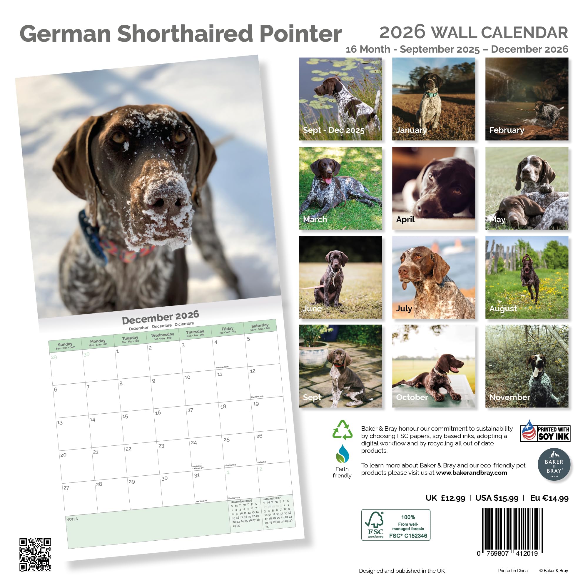 German Shorthaired Pointer Calendar 2026