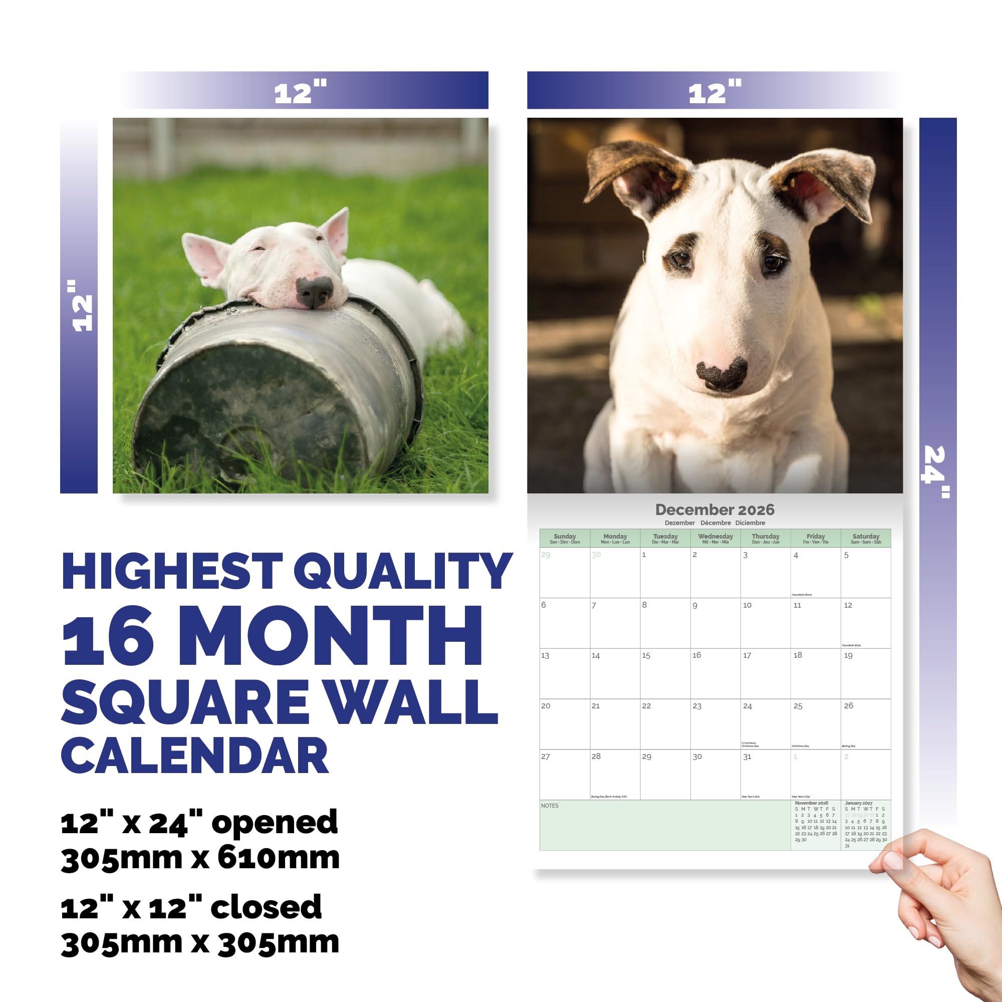 Bull Terrier Calendar 2026