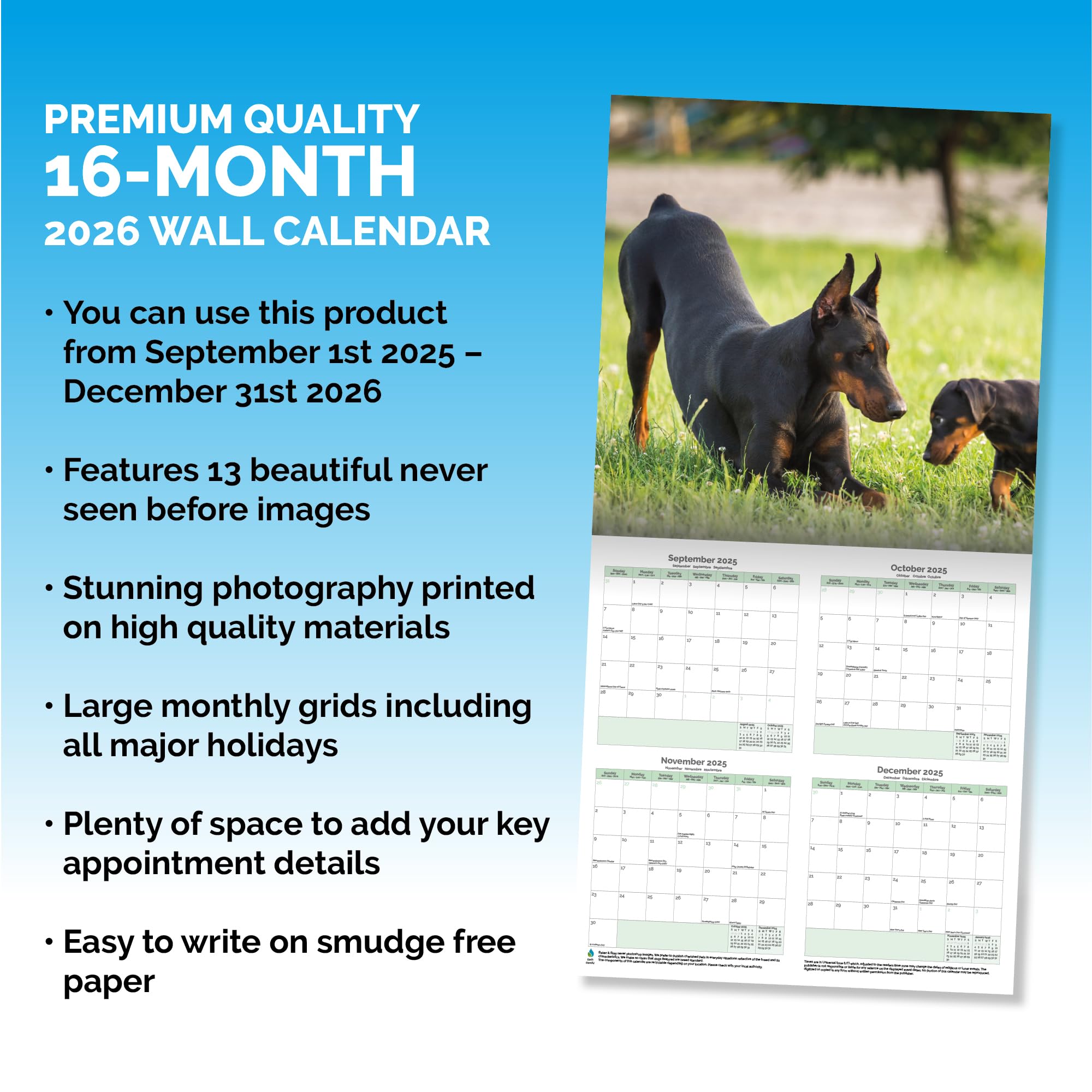 Doberman Calendar 2026