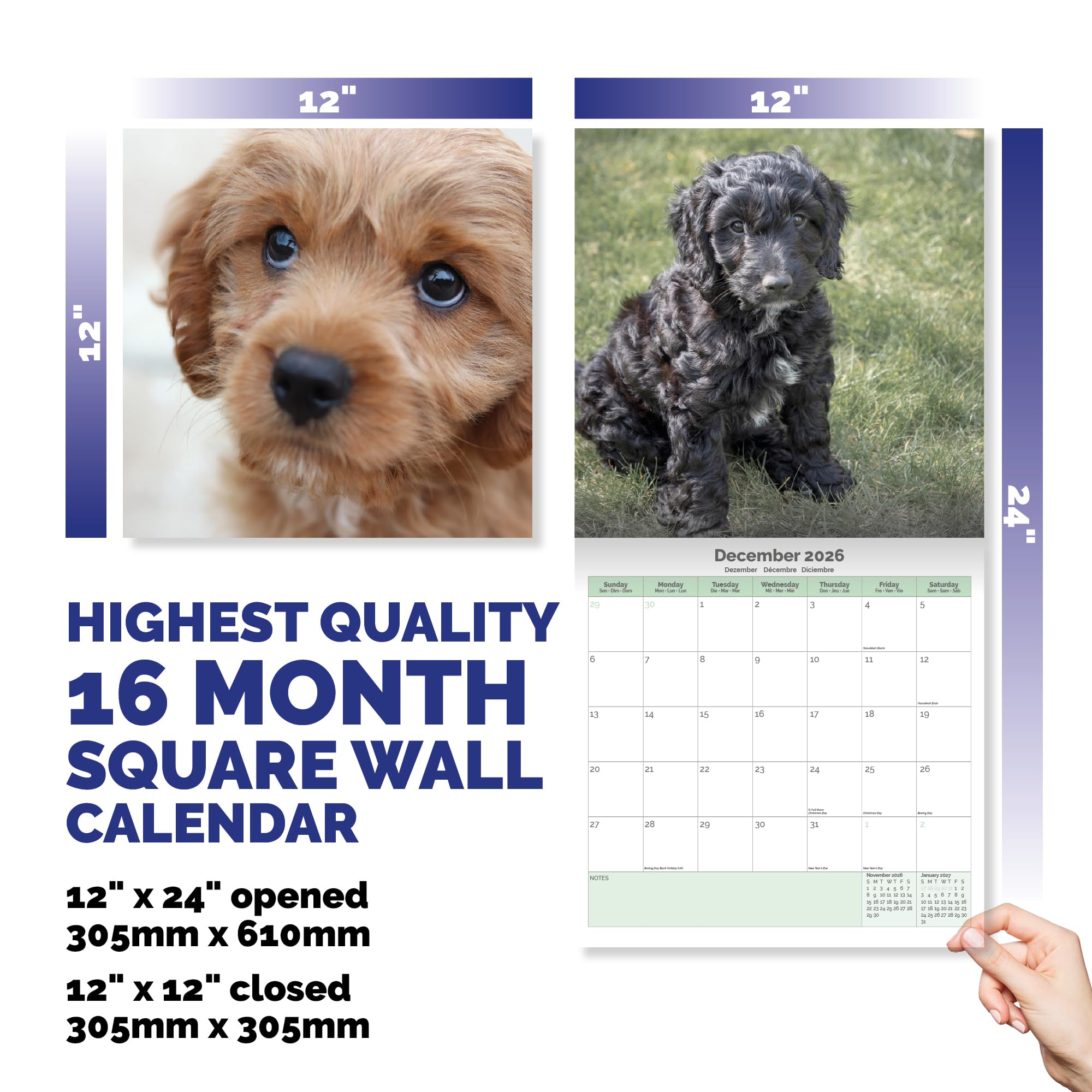 Cockapoo Puppies Calendar 2026