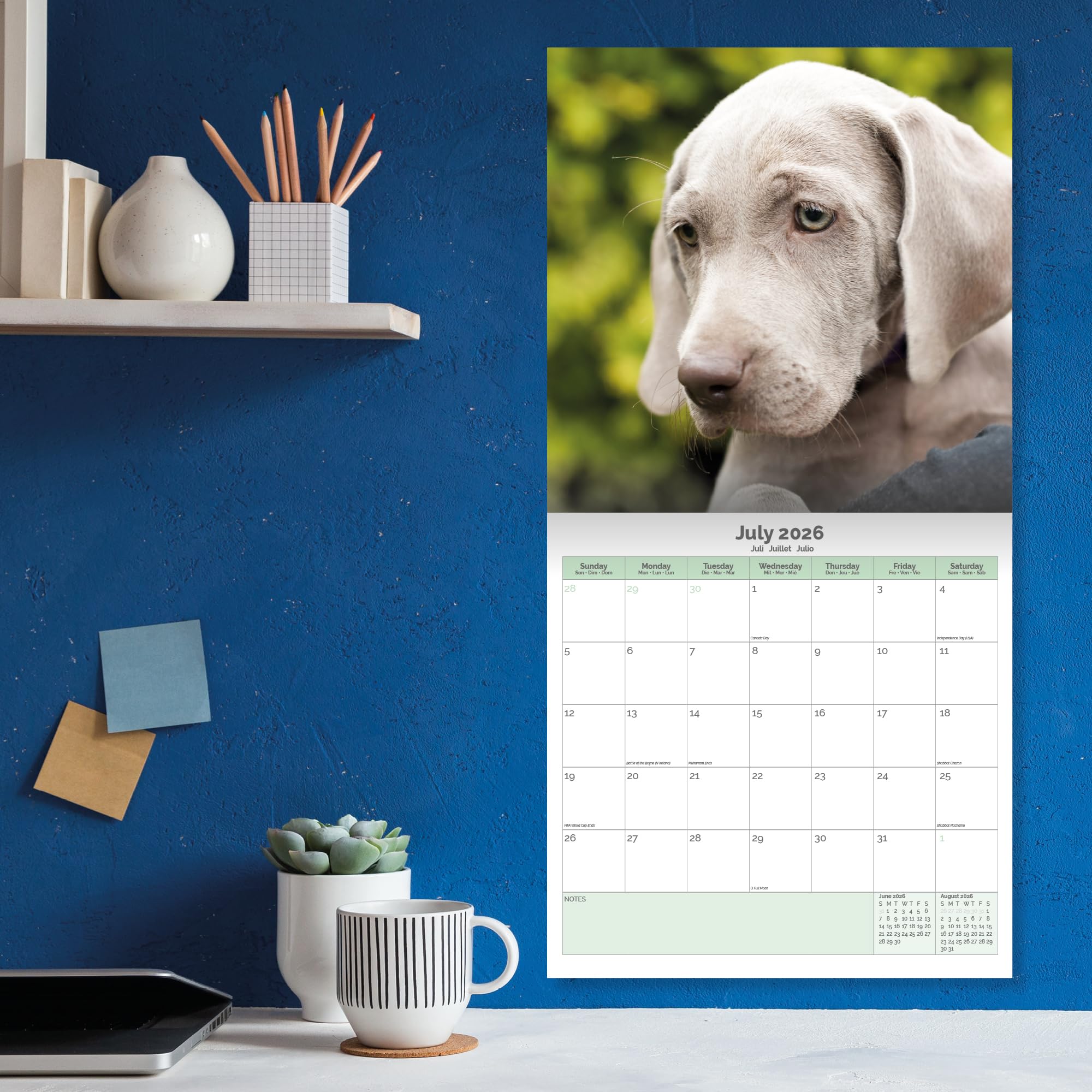 Weimaraner Calendar 2026