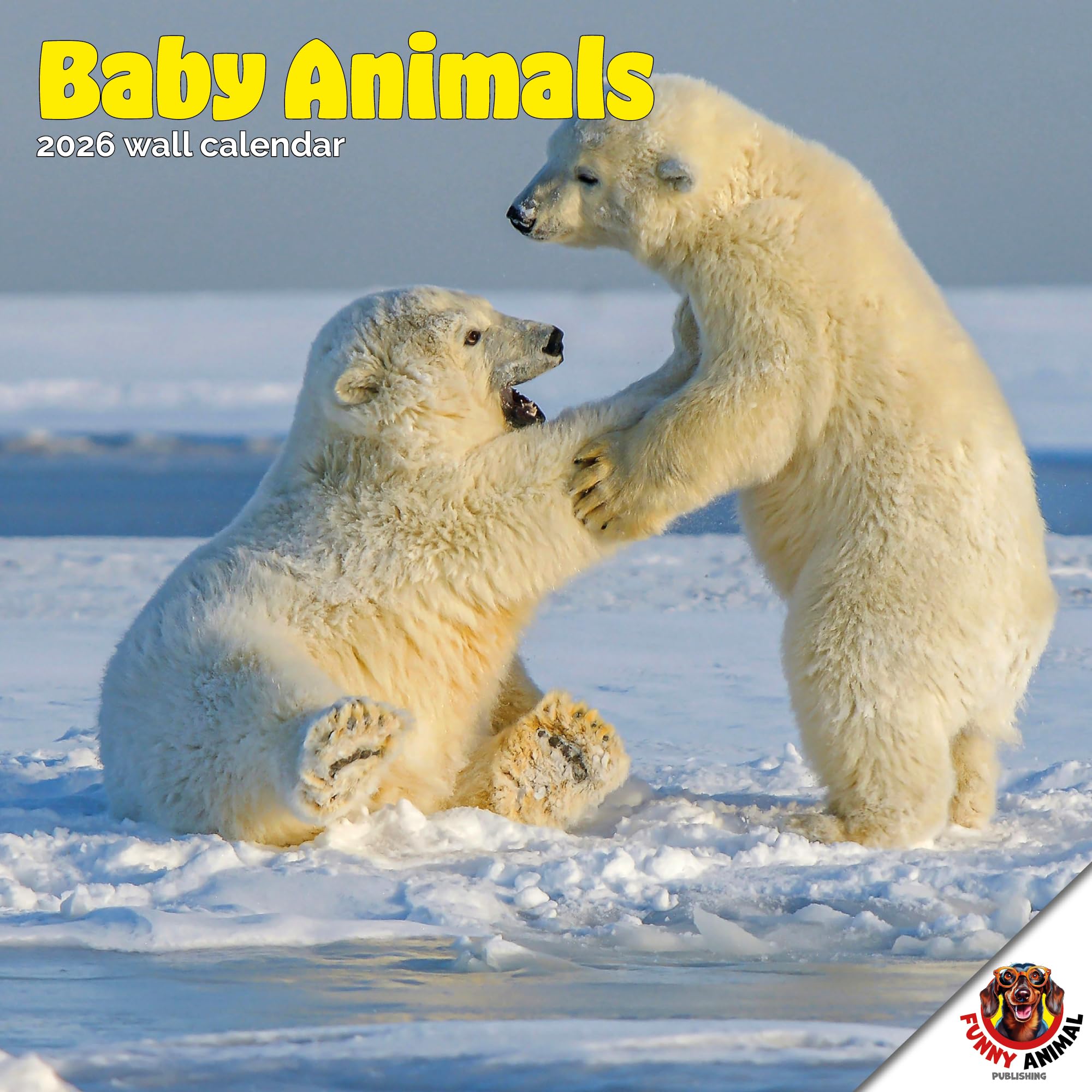 Baby Animals Calendar 2026