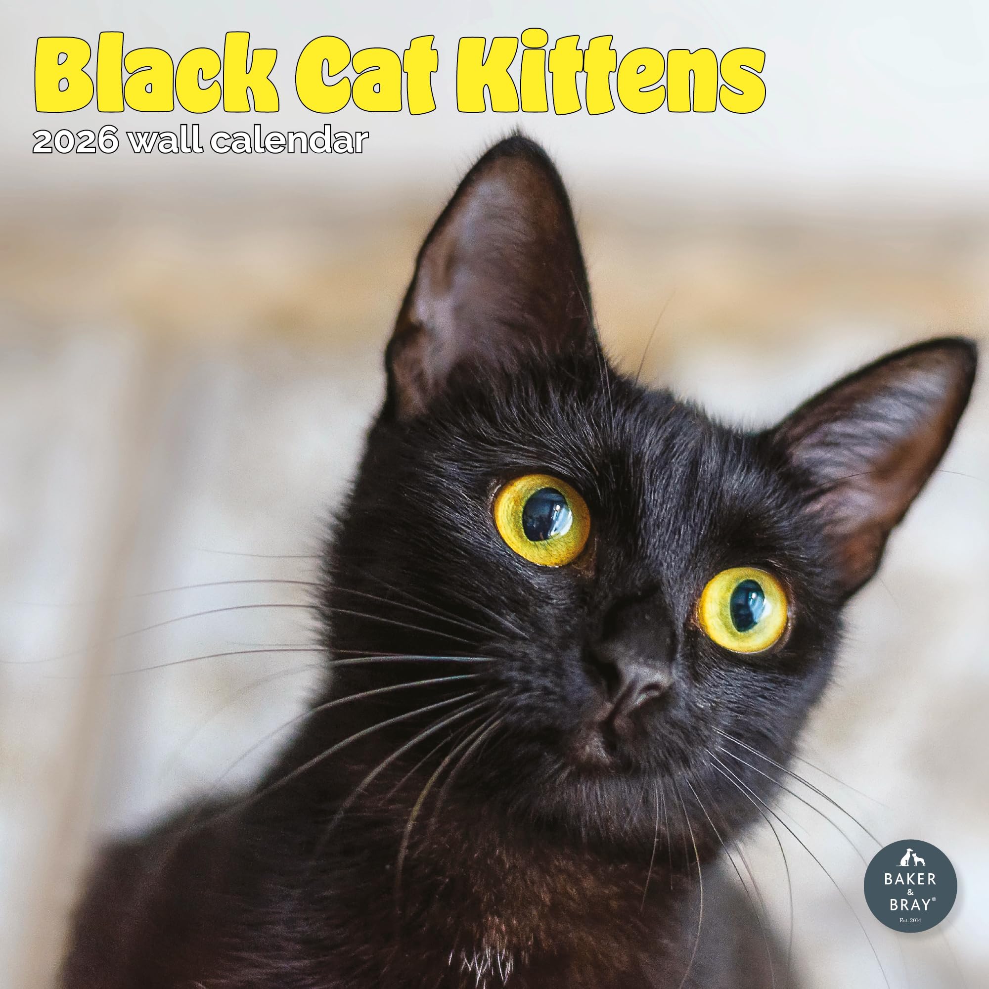 Black Cat Kittens Calendar 2026