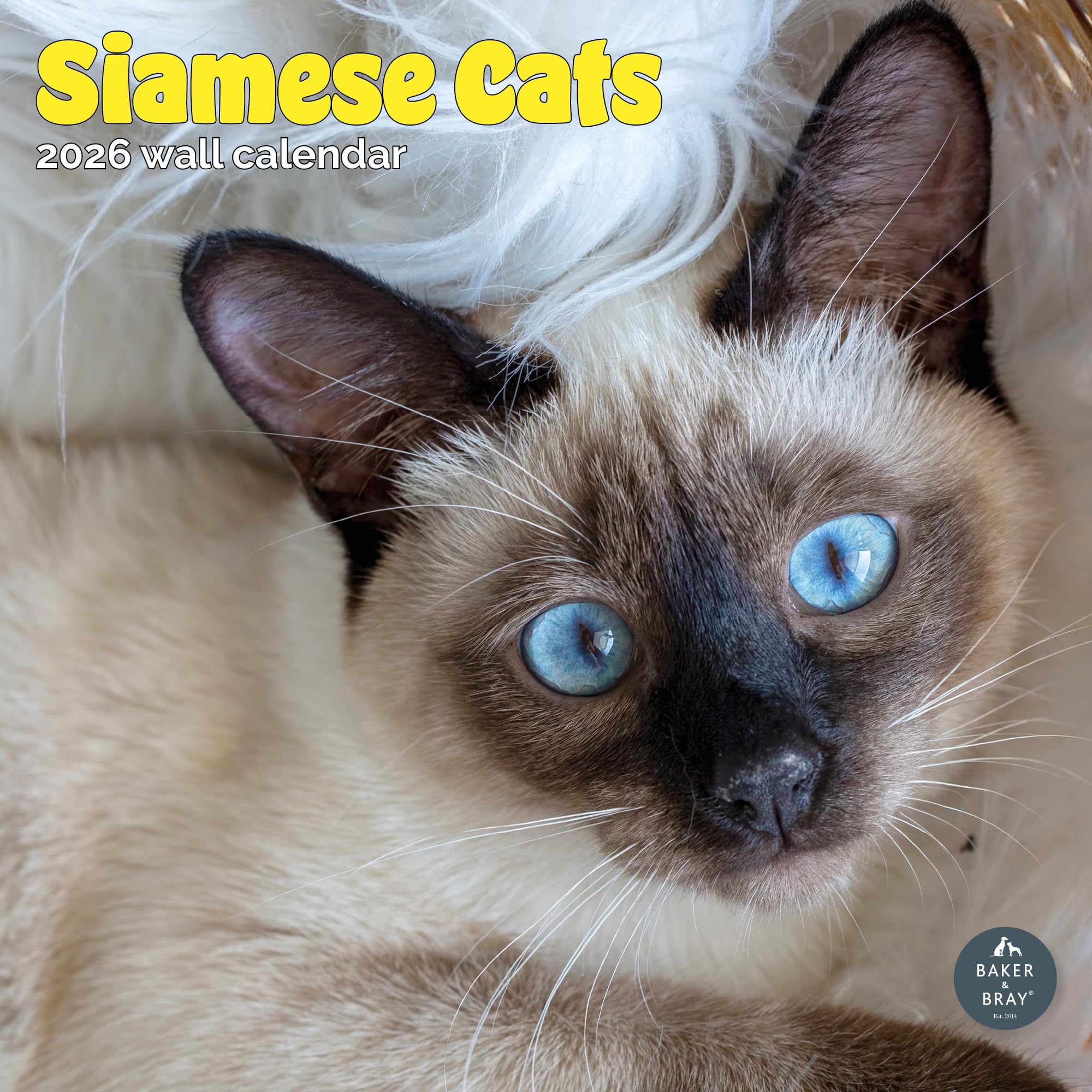 Siamese Cats Calendar 2026