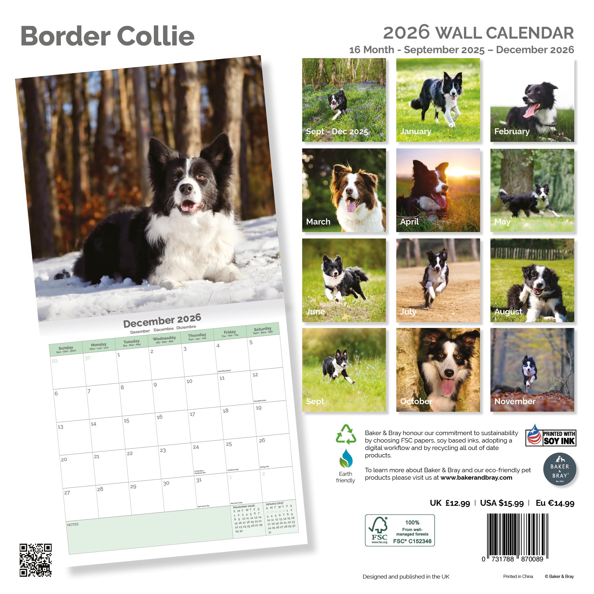 Border Collie Calendar 2026