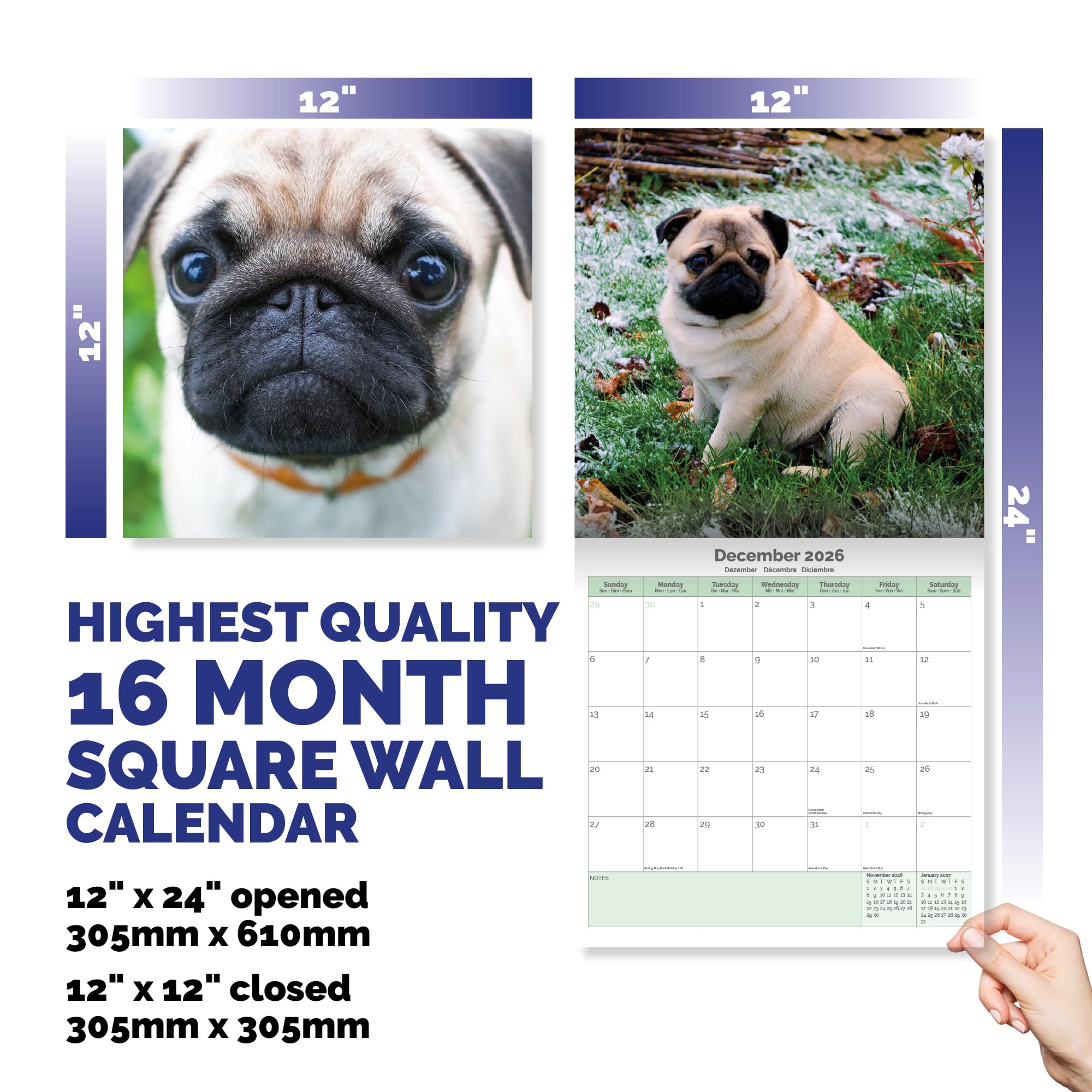 Pug Calendar 2026