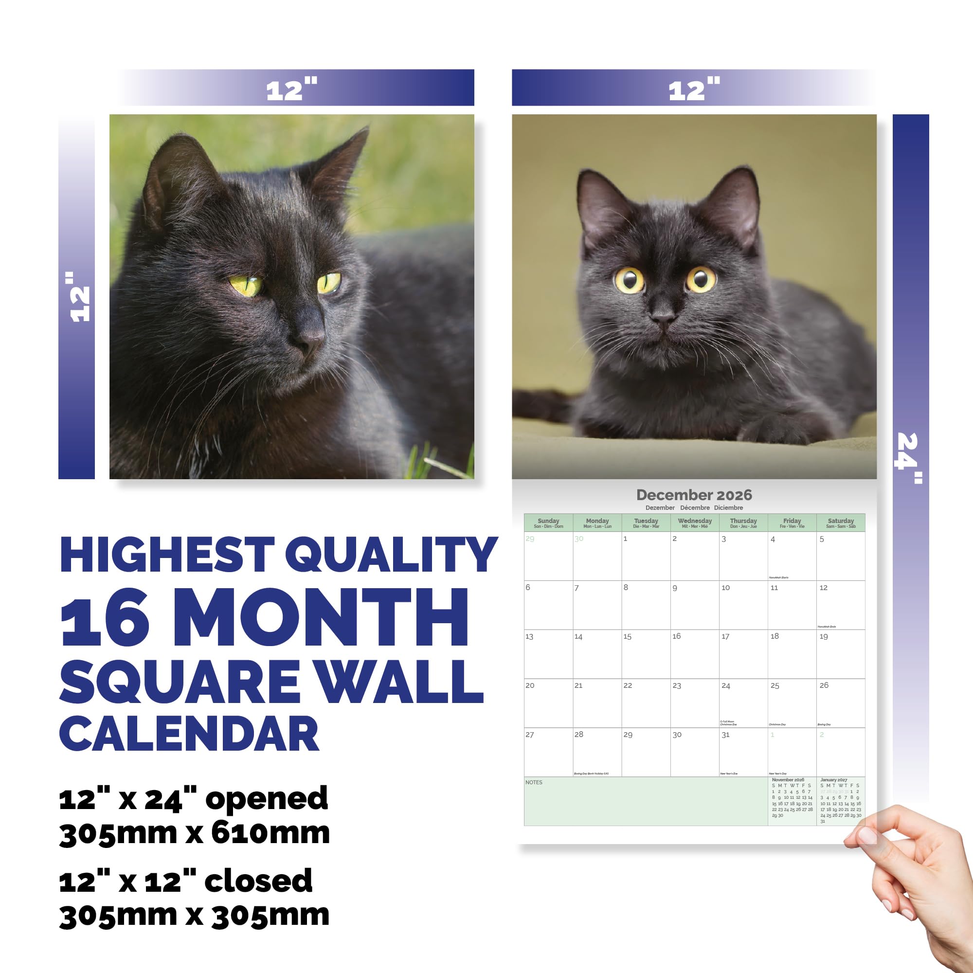 Black Cats Calendar 2026