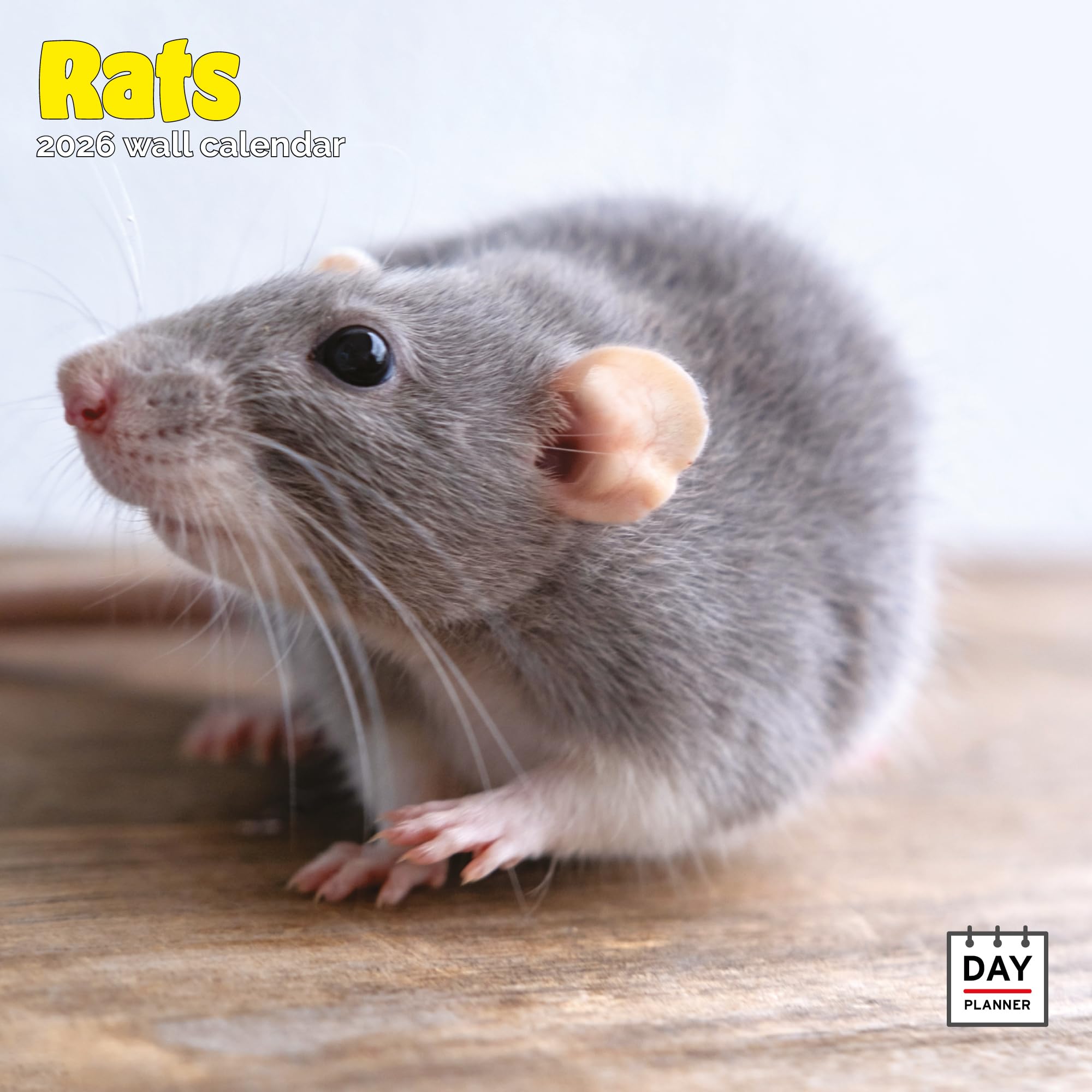 Rats Calendar 2026