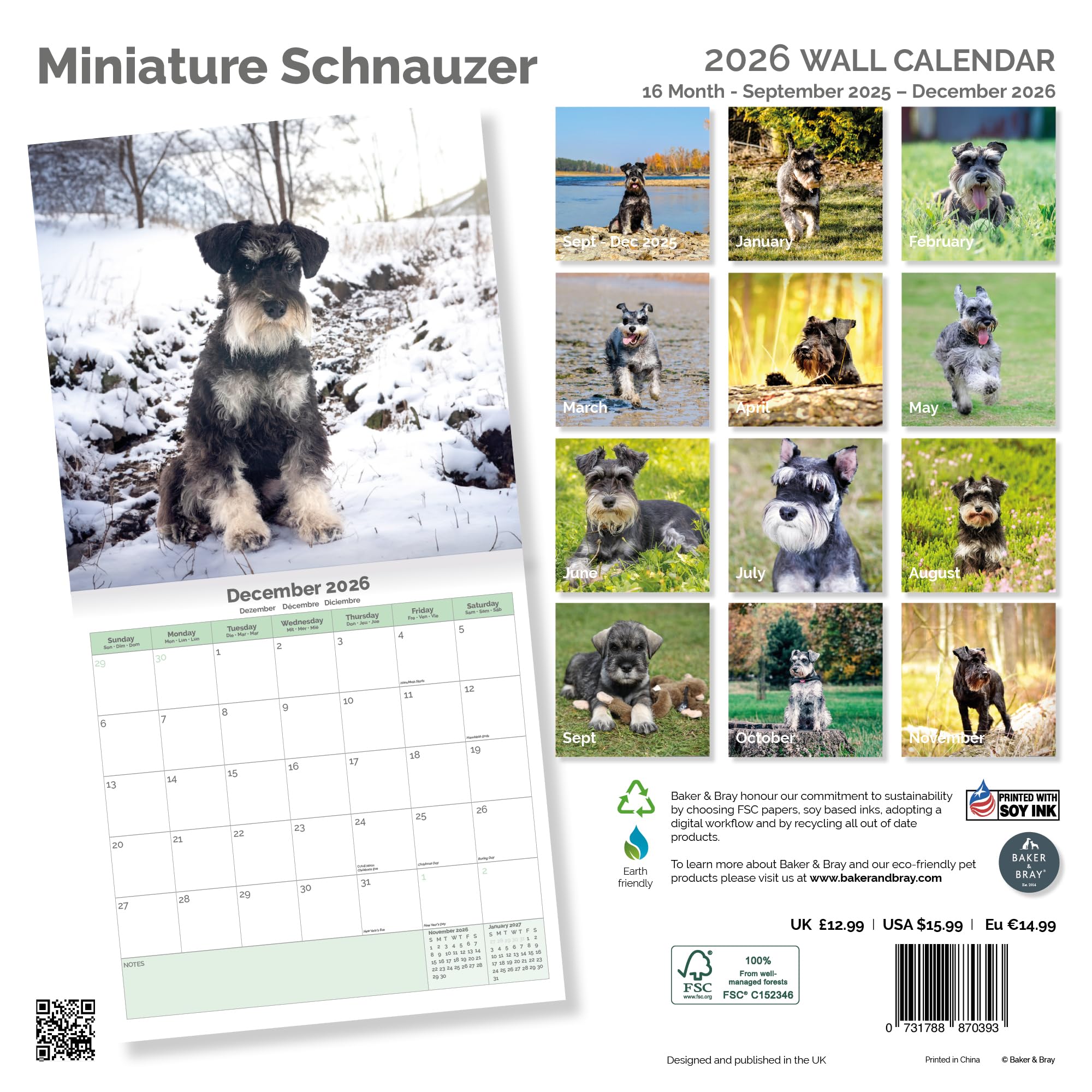 Miniature Schnauzer Calendar 2026
