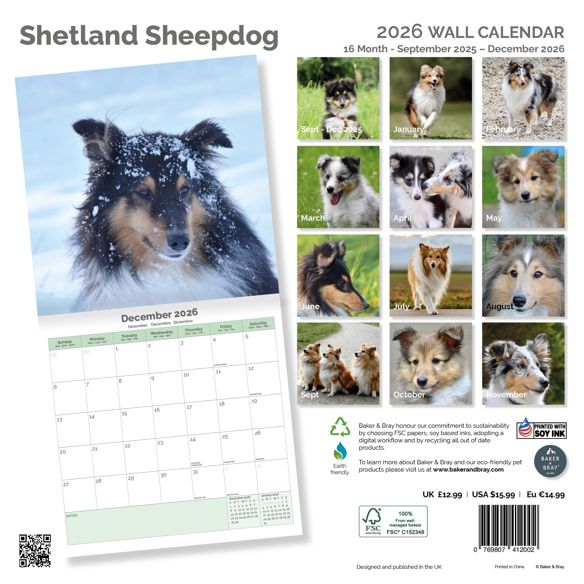 Shetland Sheepdog Calendar 2026