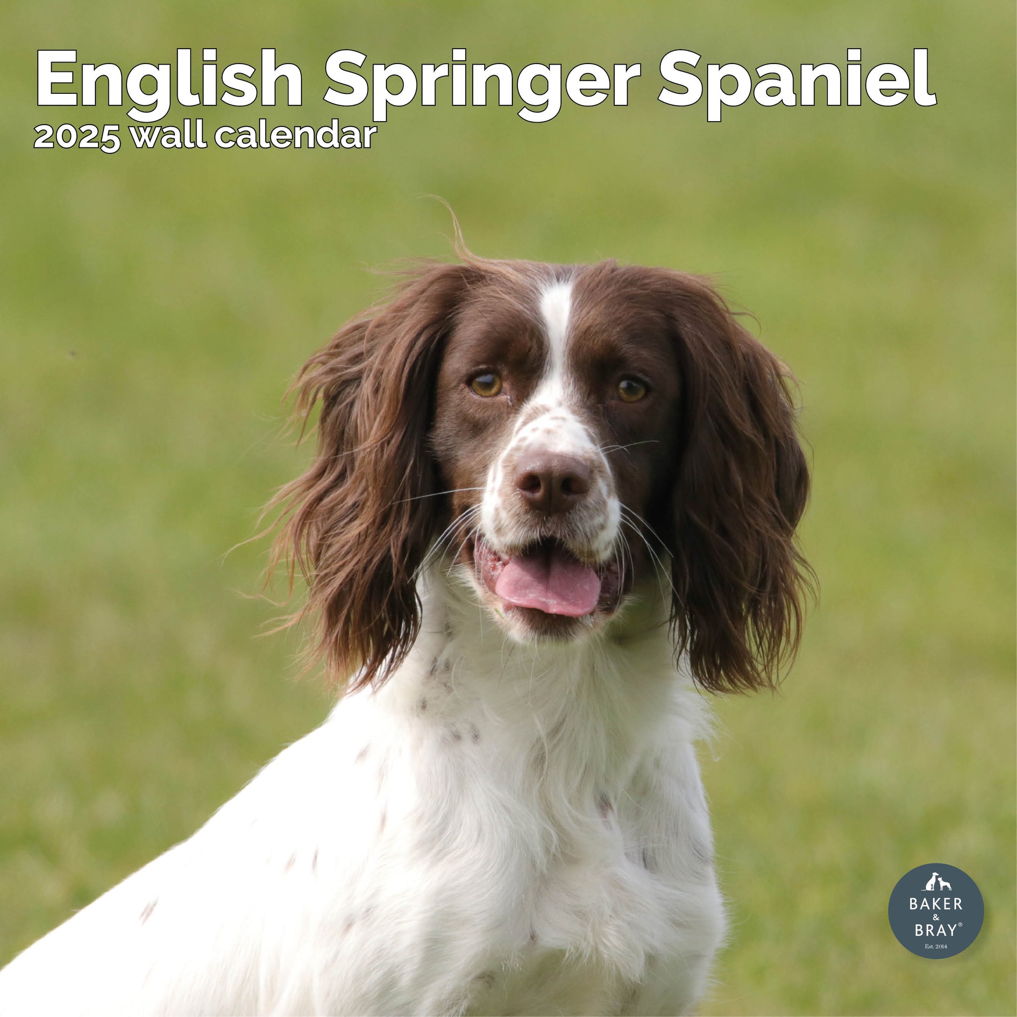 English Springer Spaniel Calendar 2025 Springer Spaniel Calendar 2025 Uk