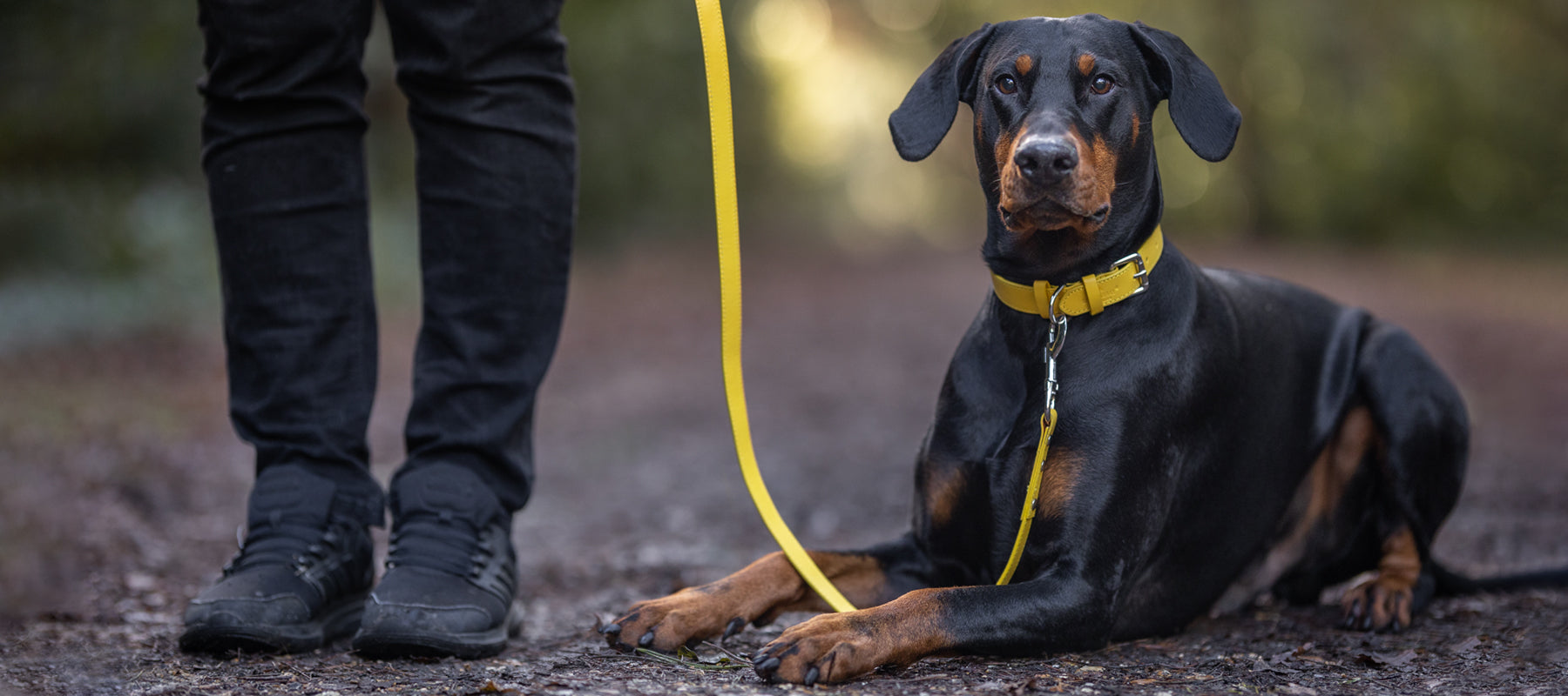 Vegan Leather Collar