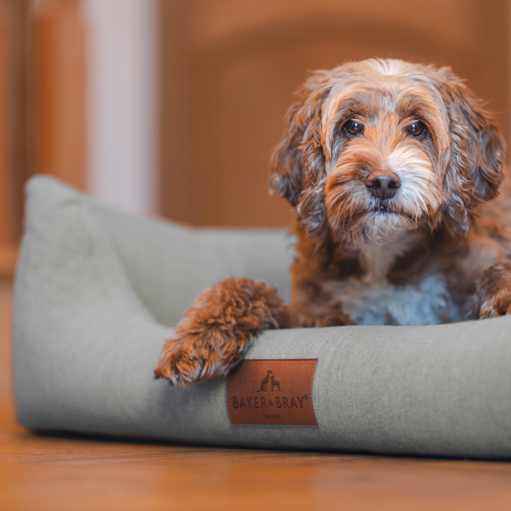 The Comfort - Eco Friendly Orthopaedic Luxury Dog Bed, Warm Grey