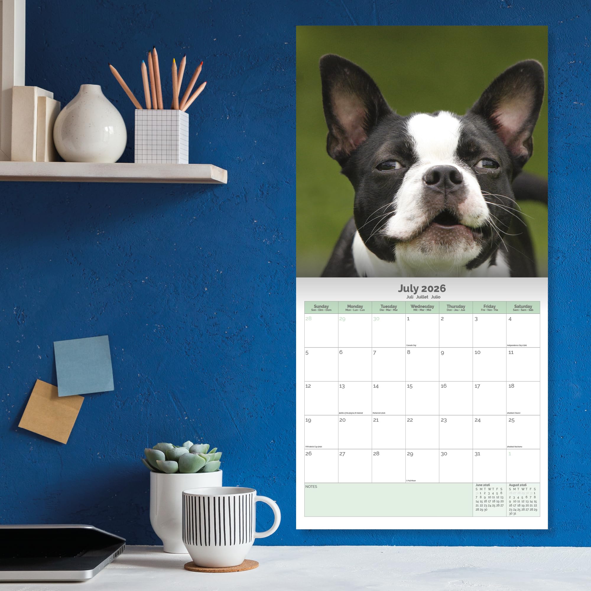 Boston Terrier Calendar 2026