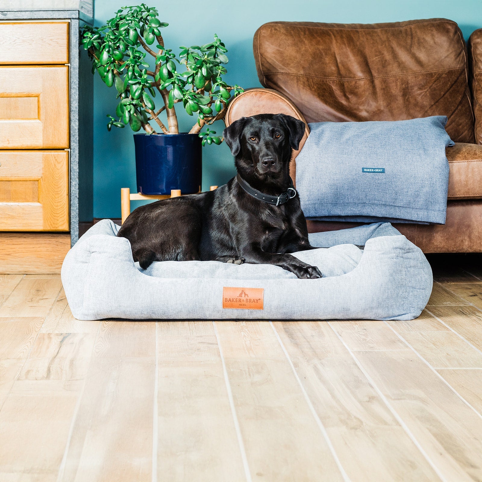 The Ultimate - Eco Friendly Orthopaedic Luxury Dog Bed, Stone Grey