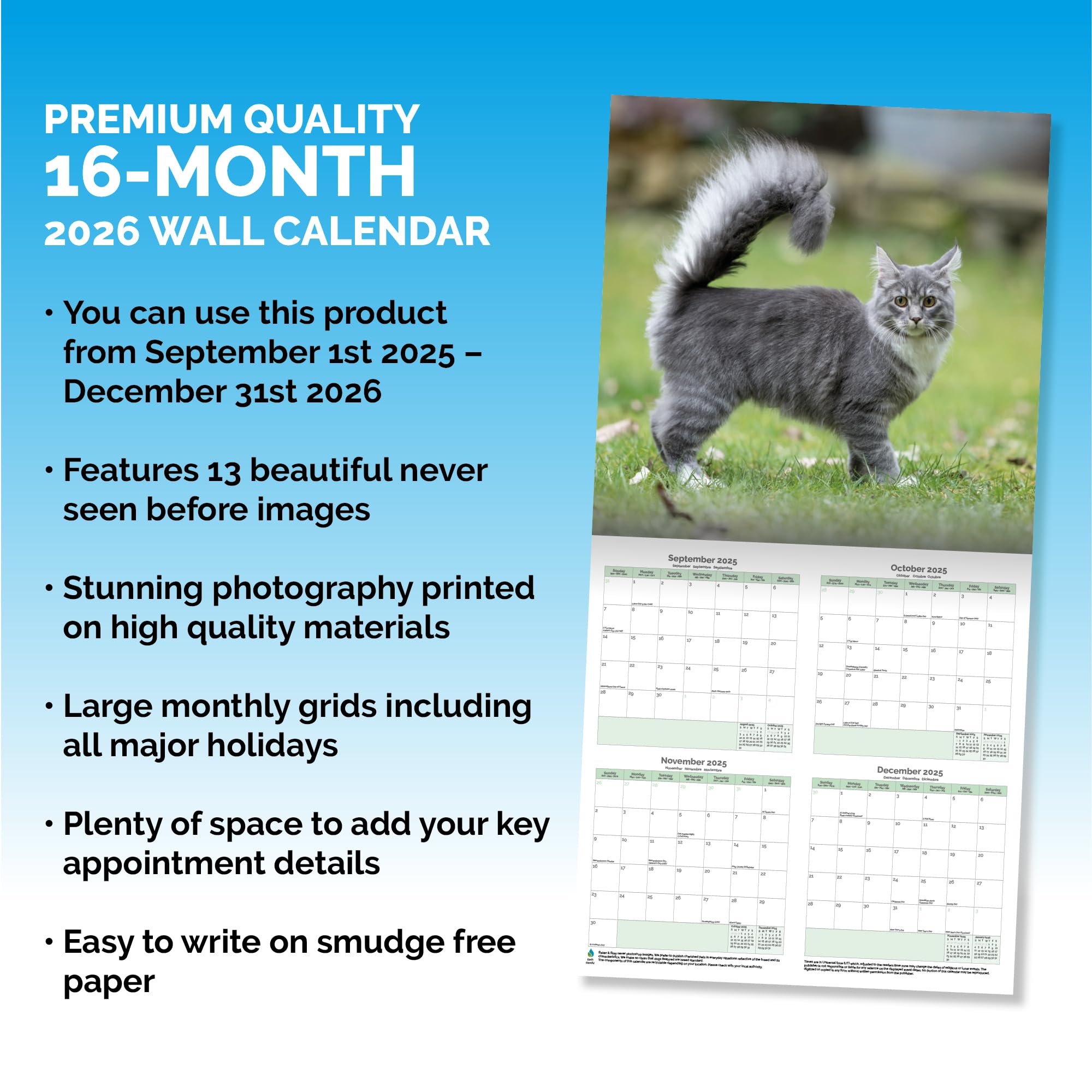 Maine Coon Cats Calendar 2026