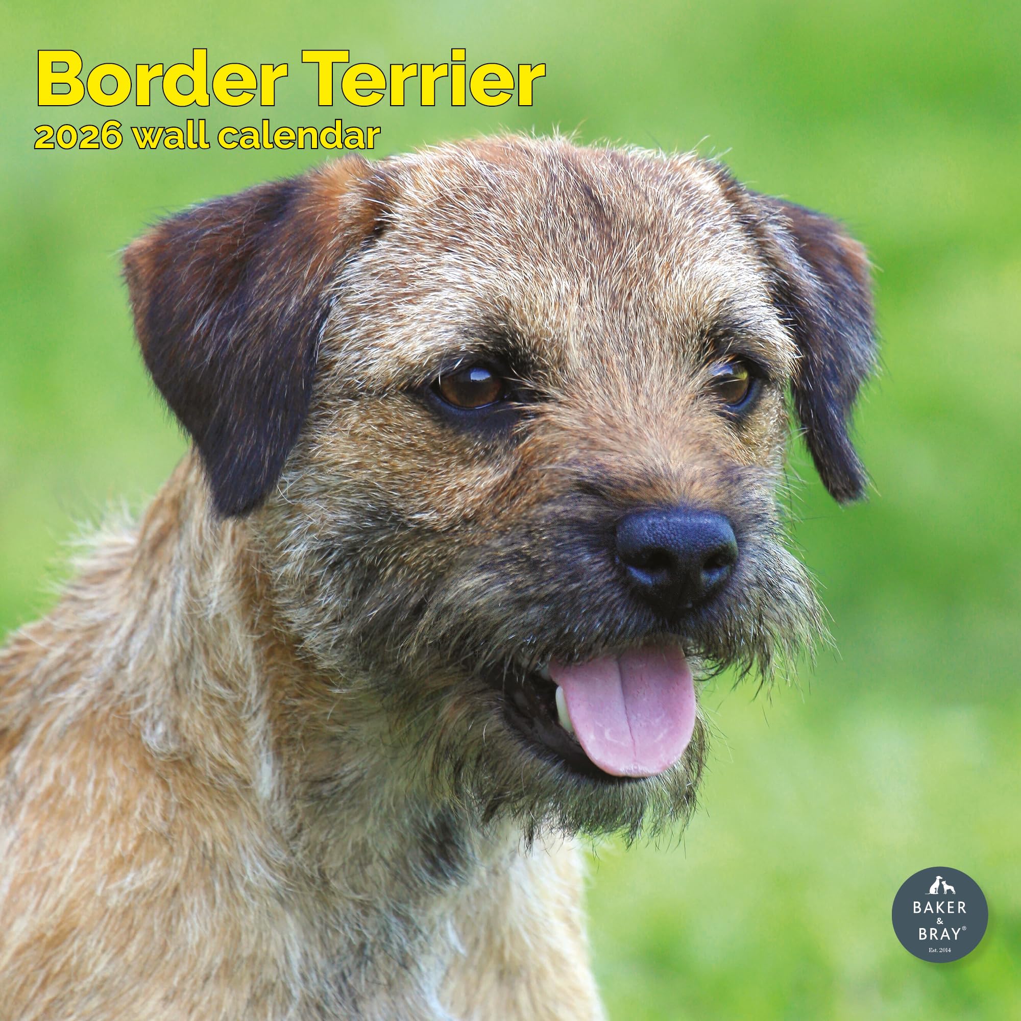 Border Terrier Calendar 2026