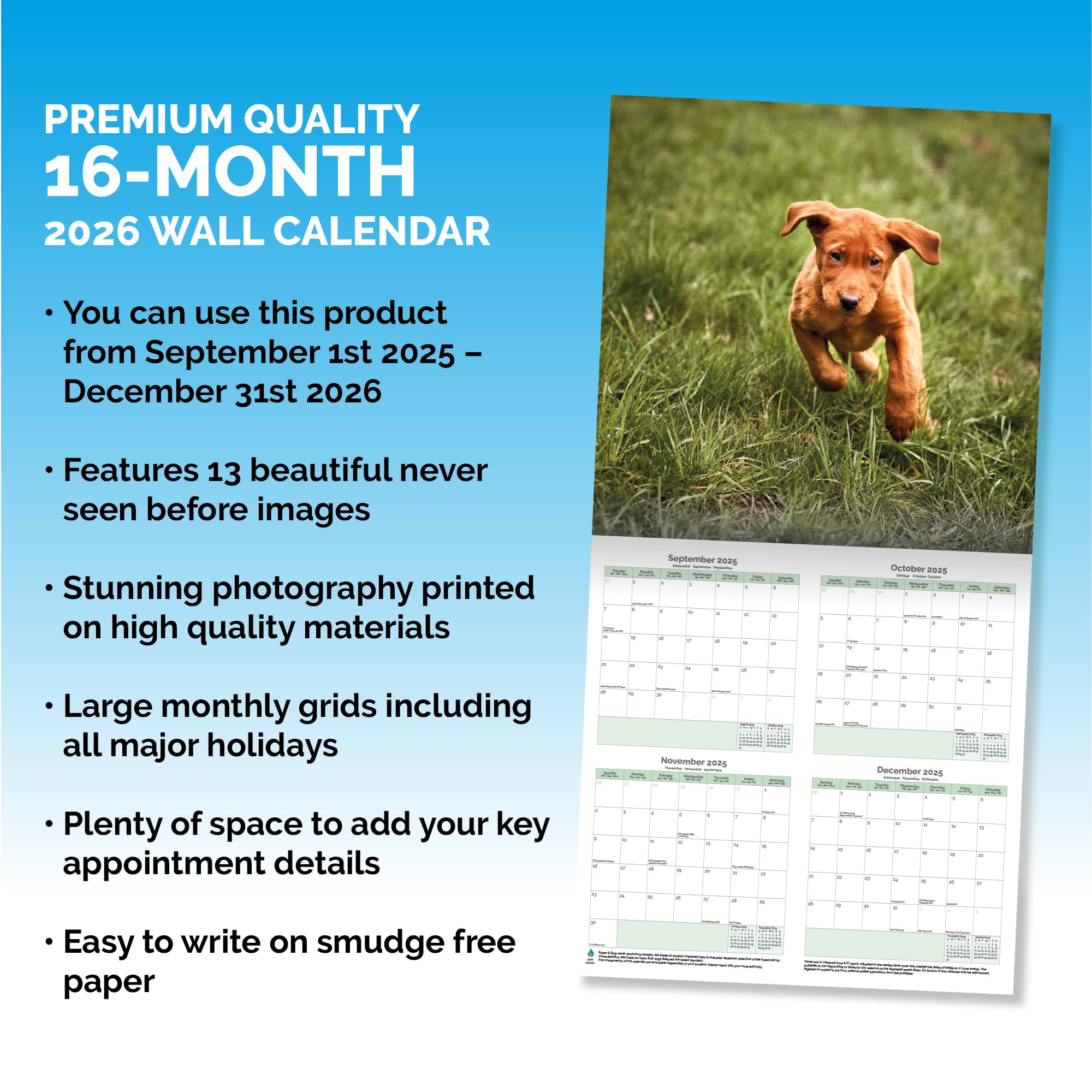 Fox Red Labrador Calendar 2026