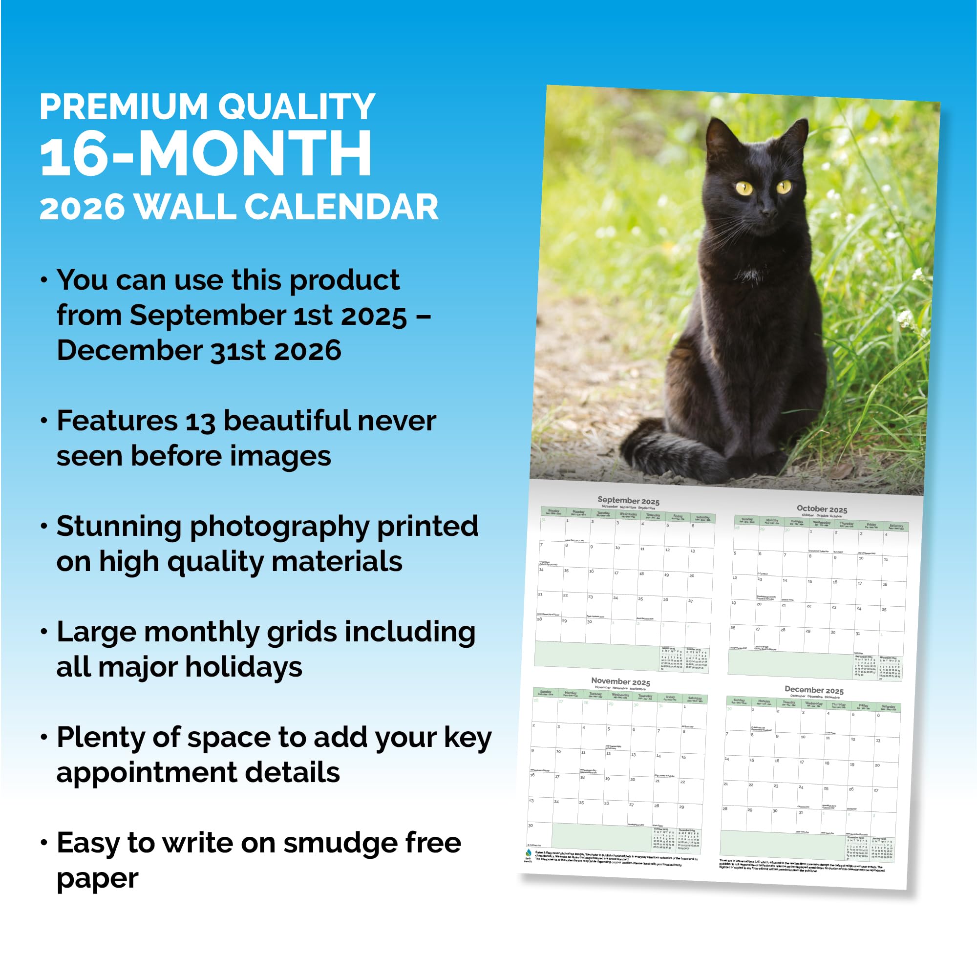 Black Cats Calendar 2026