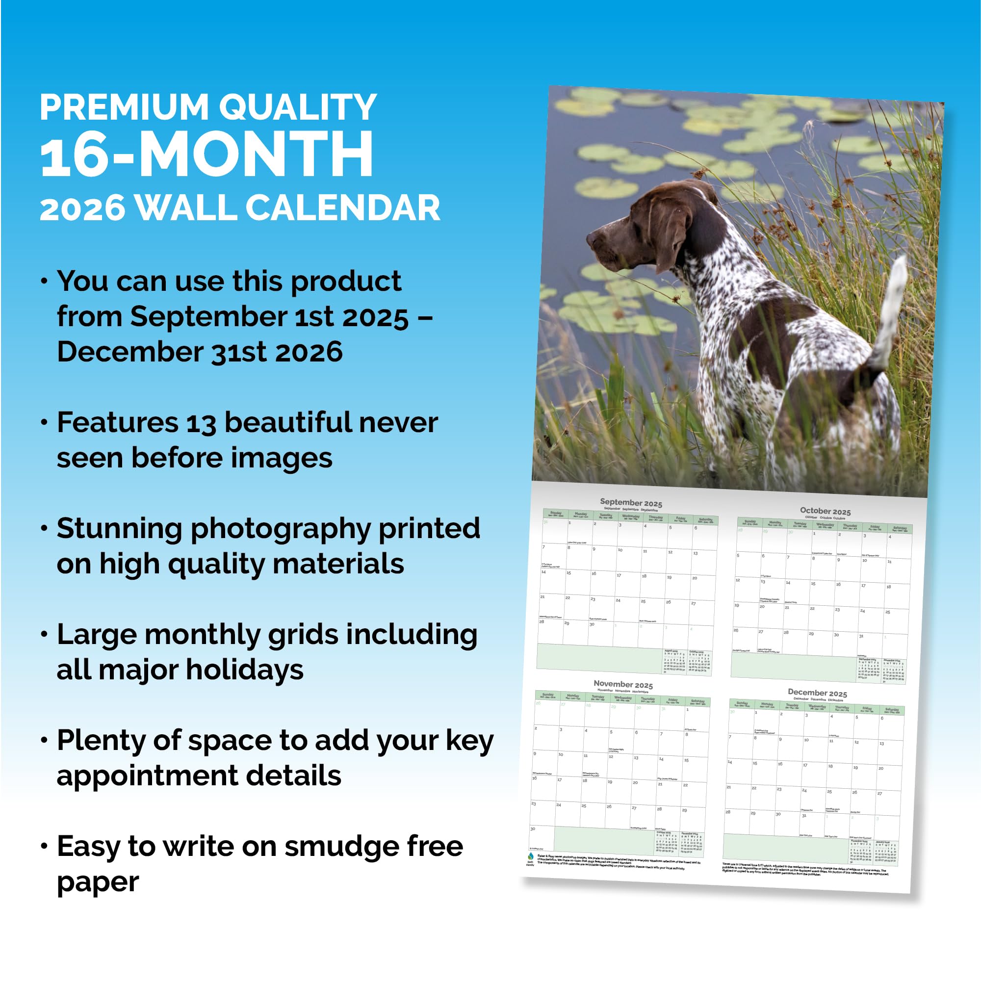 German Shorthaired Pointer Calendar 2026