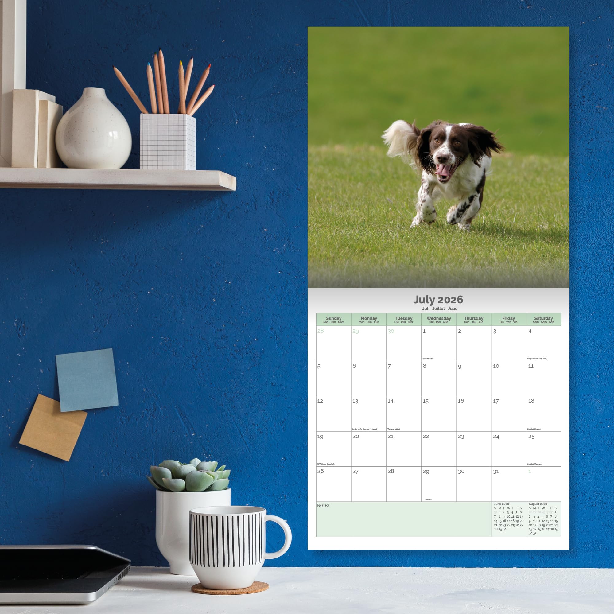 English Springer Spaniel Calendar 2026