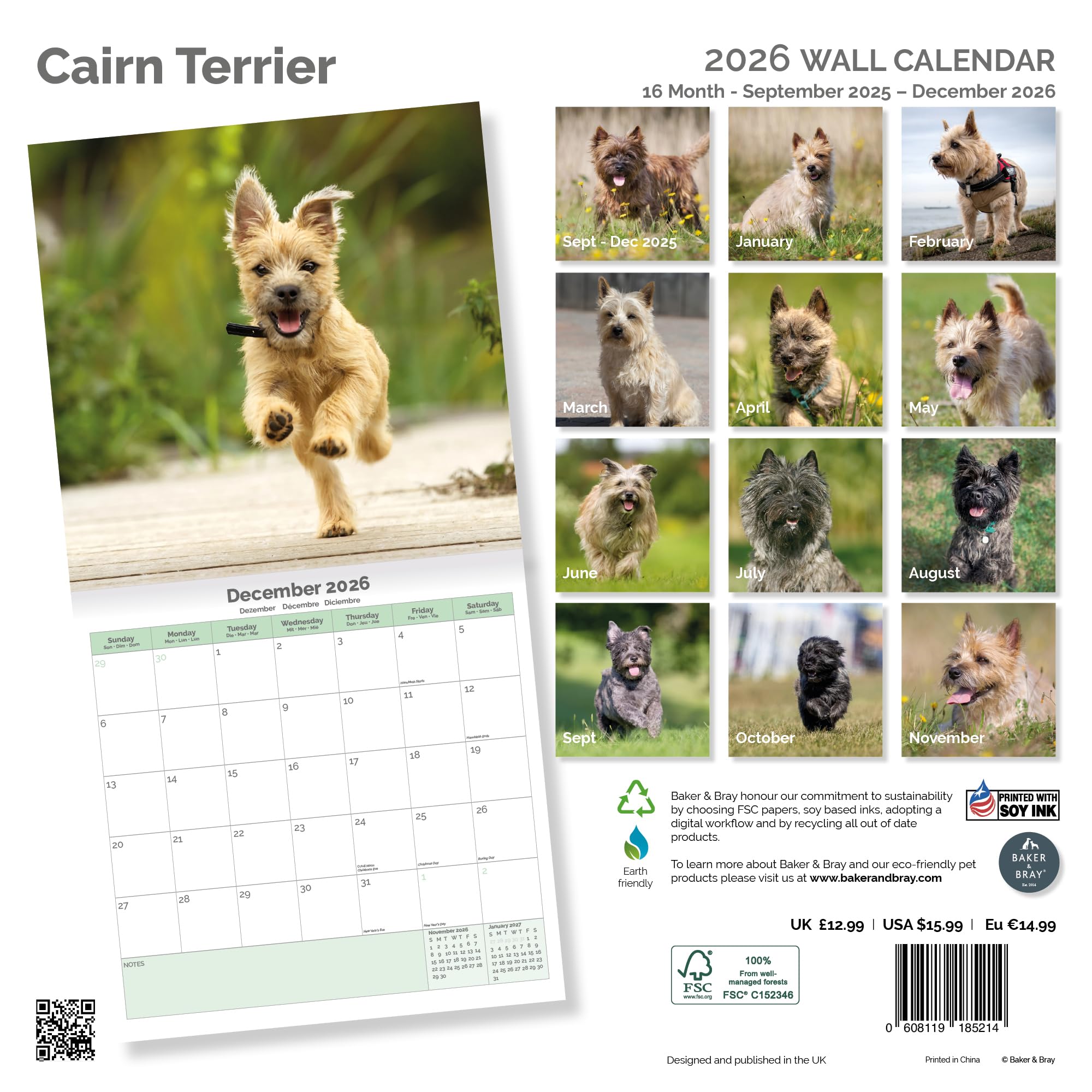 Cairn Terrier Calendar 2026