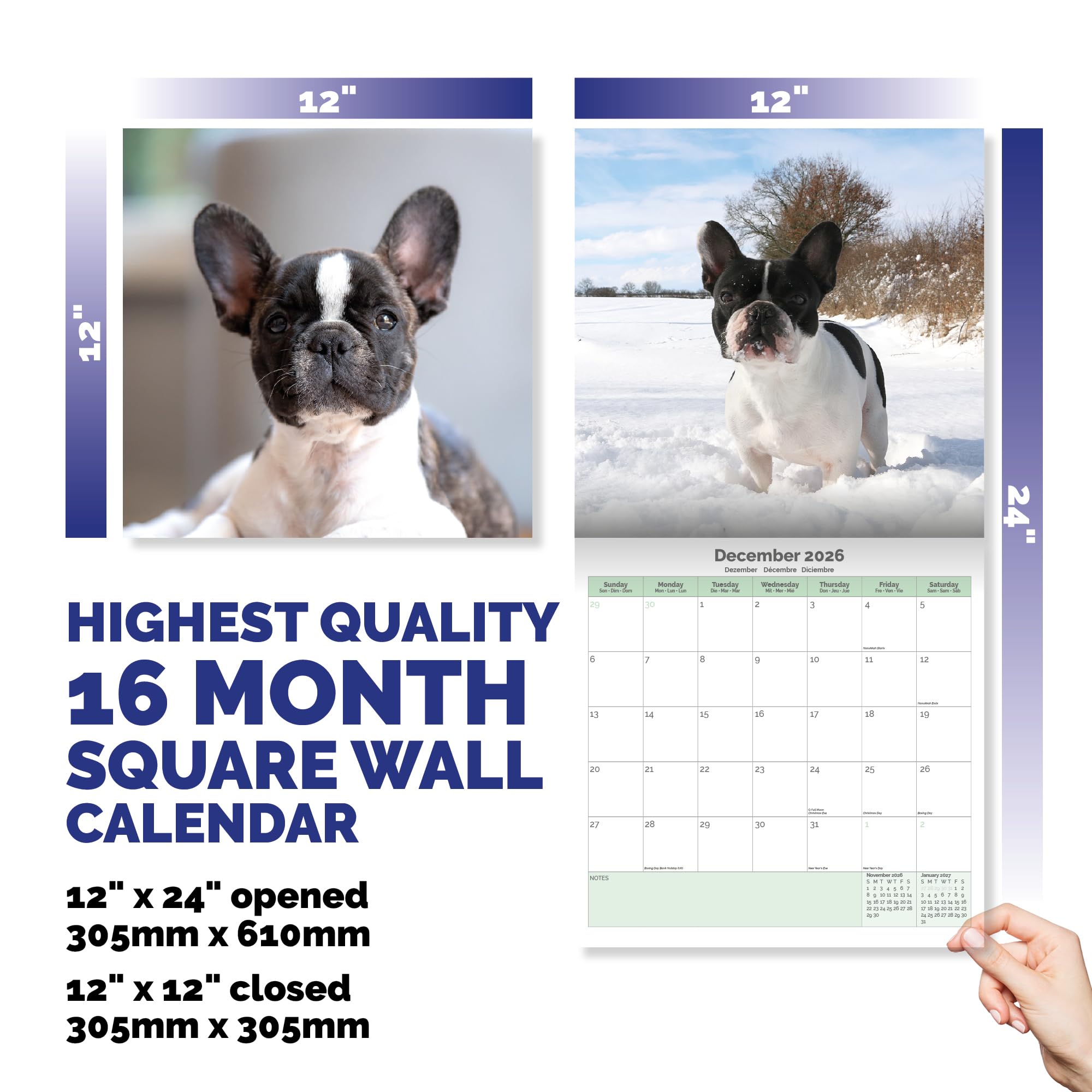 French Bulldog Calendar 2026