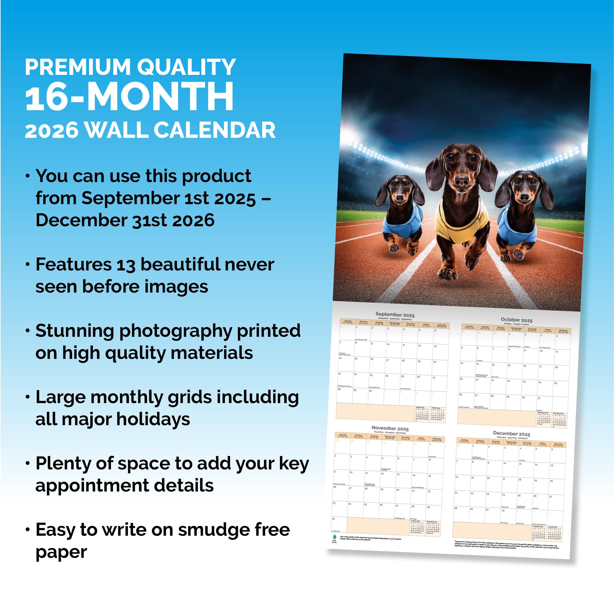 Dog Olympics Calendar 2026