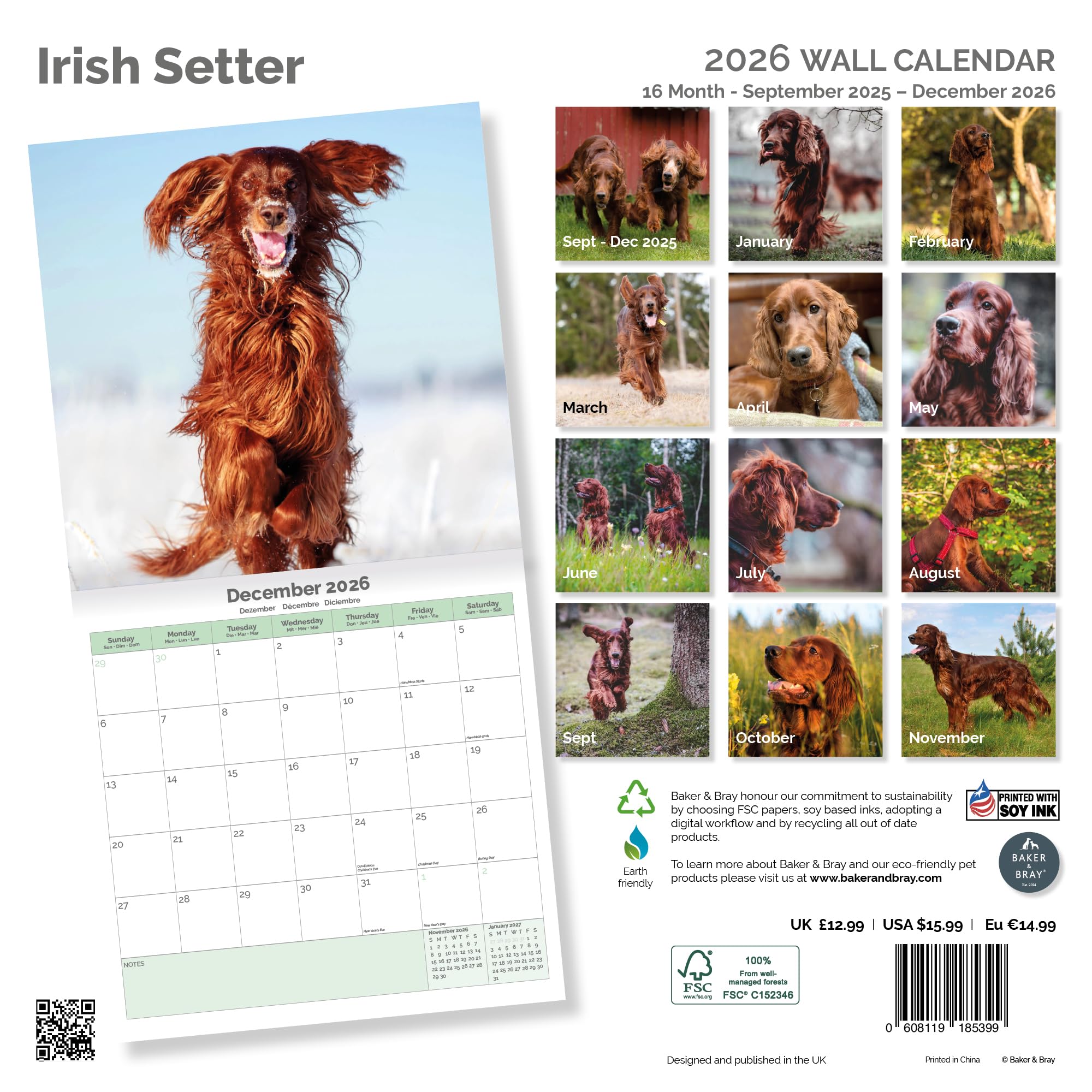 Irish Setter Calendar 2026