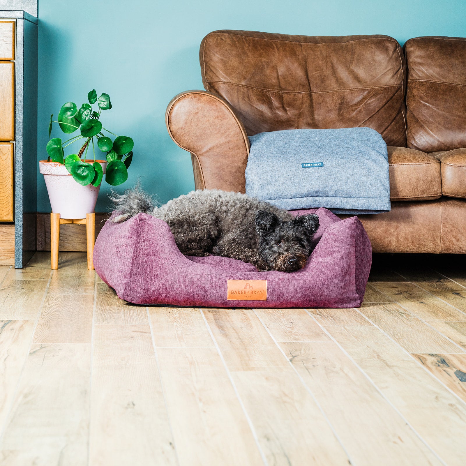The Ultimate - Eco Friendly Orthopaedic Luxury Dog Bed, Rhubarb Red