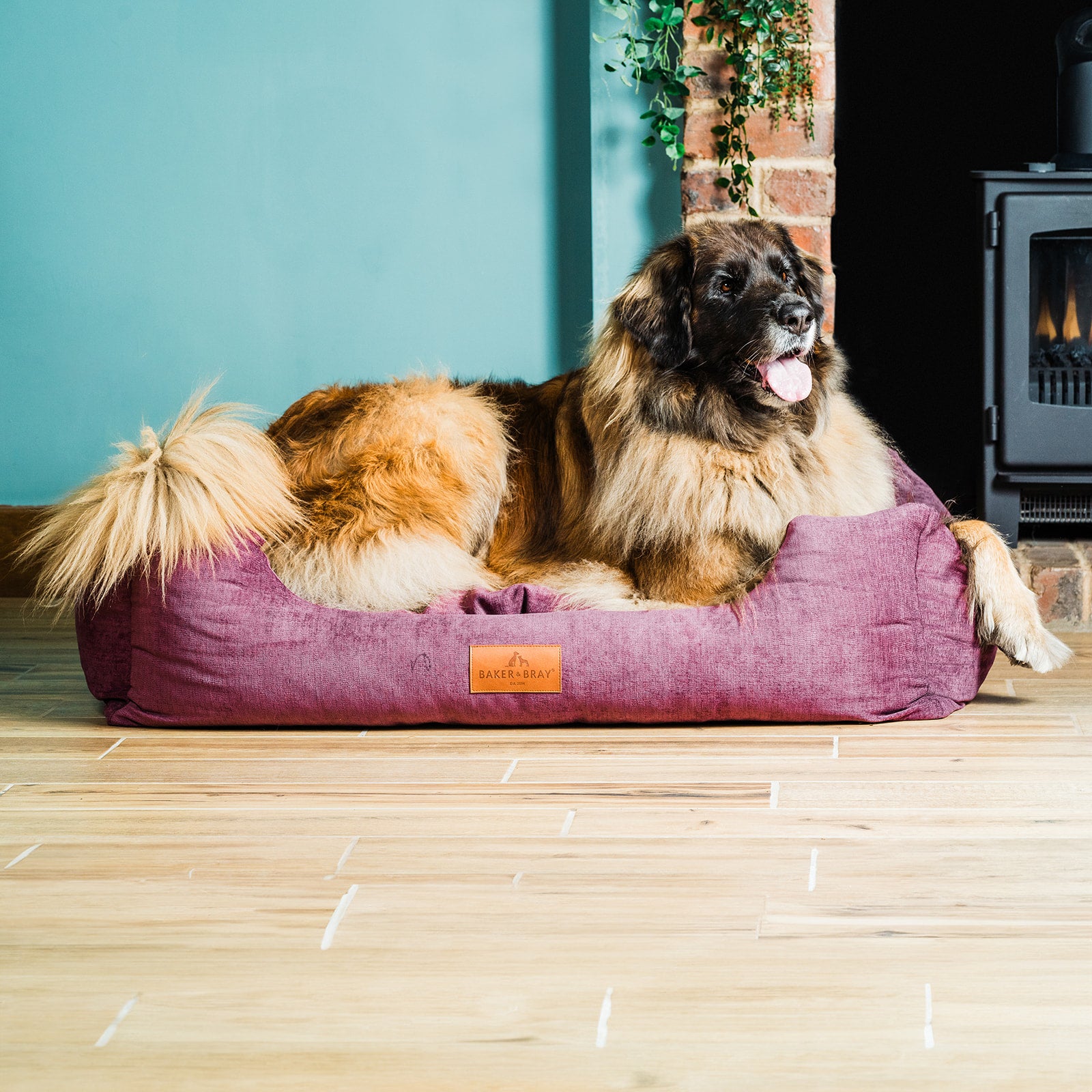 The Ultimate - Eco Friendly Orthopaedic Luxury Dog Bed, Rhubarb Red