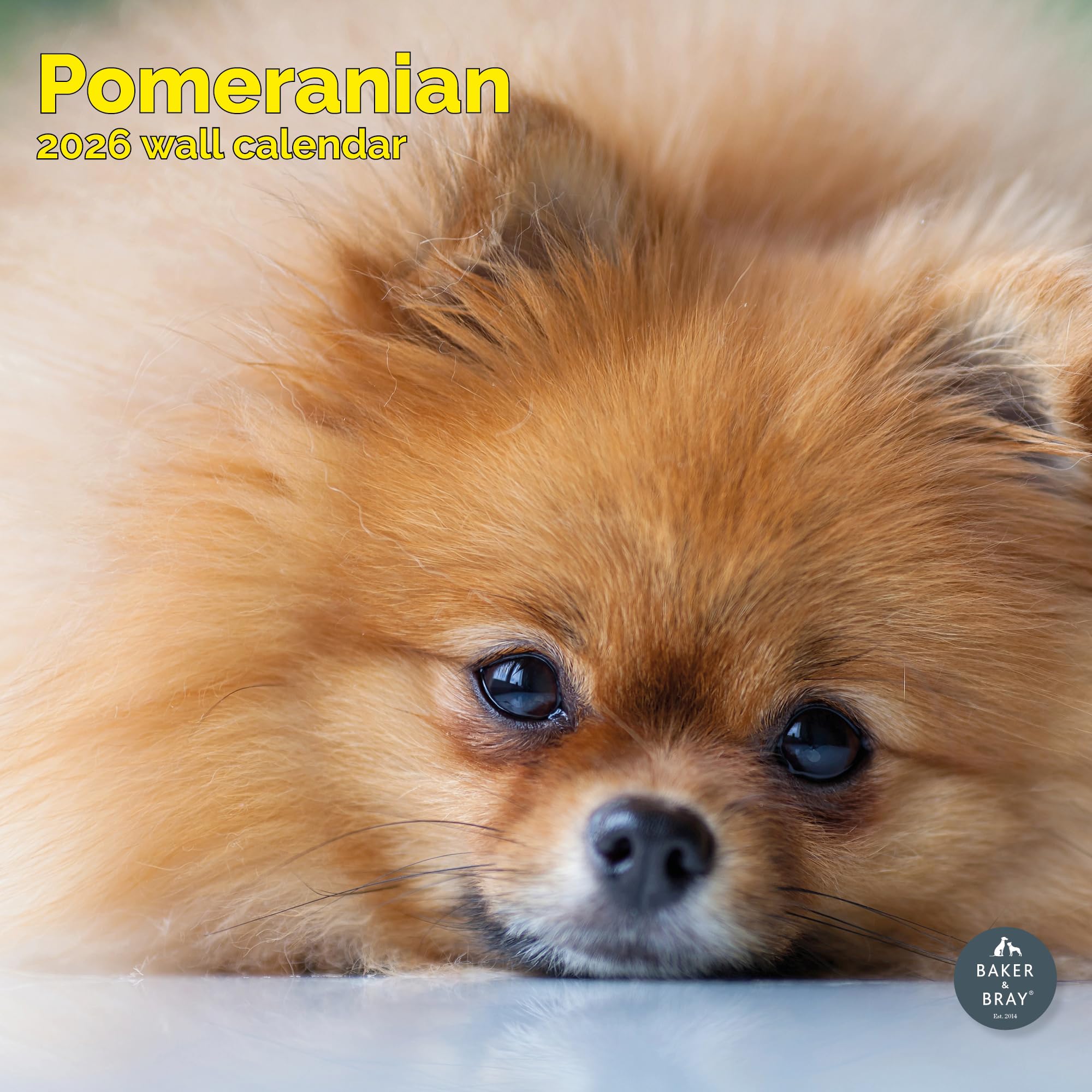 Pomeranian Calendar 2026